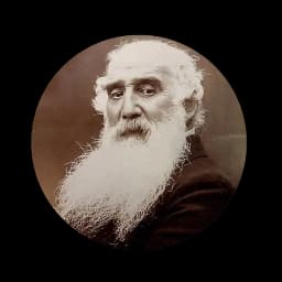 卡米耶・毕沙罗