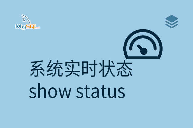 系统实时状态 - show status
