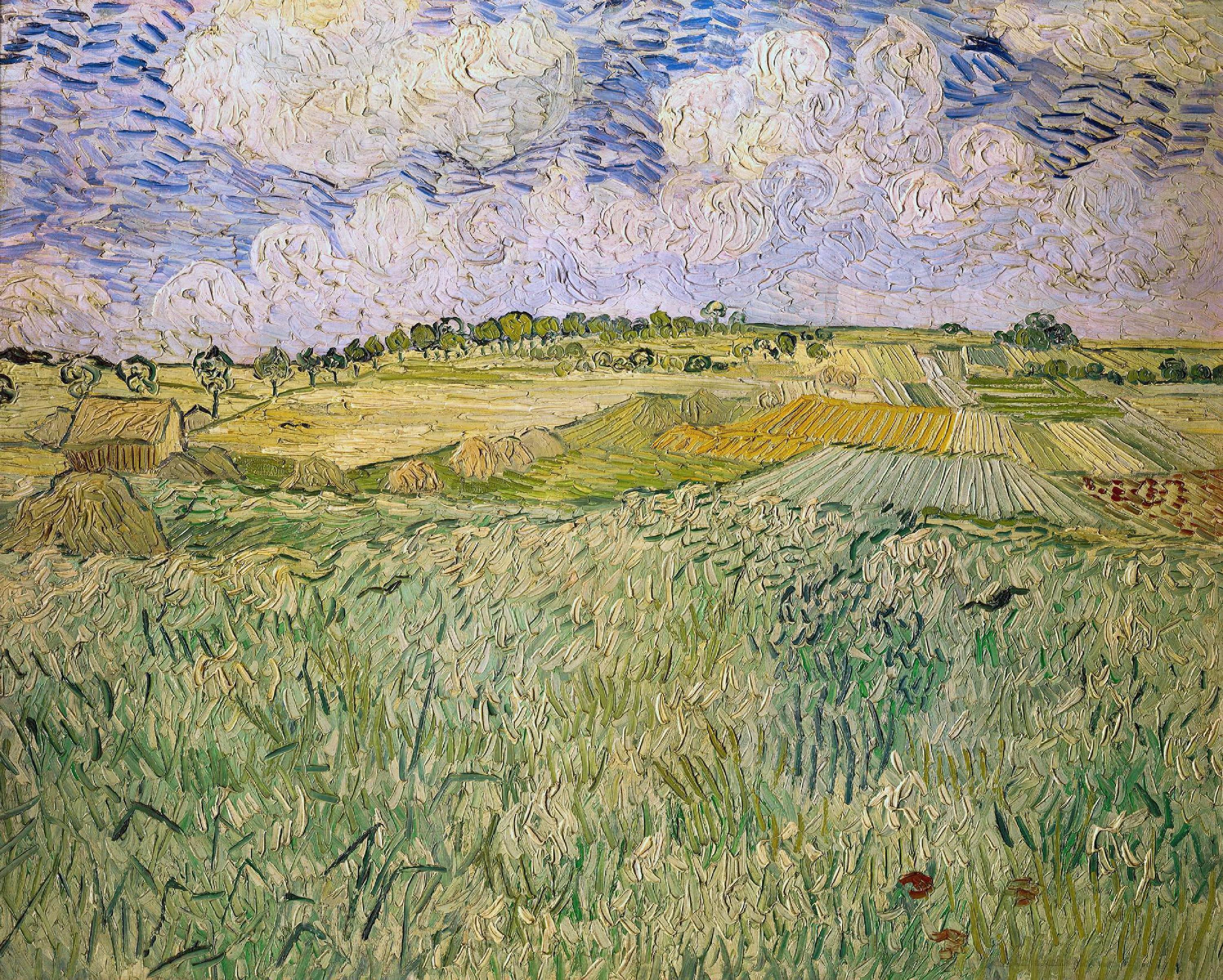 1889 - 麦田与白嘴鸦 - 田野之上鸦飞云涌 