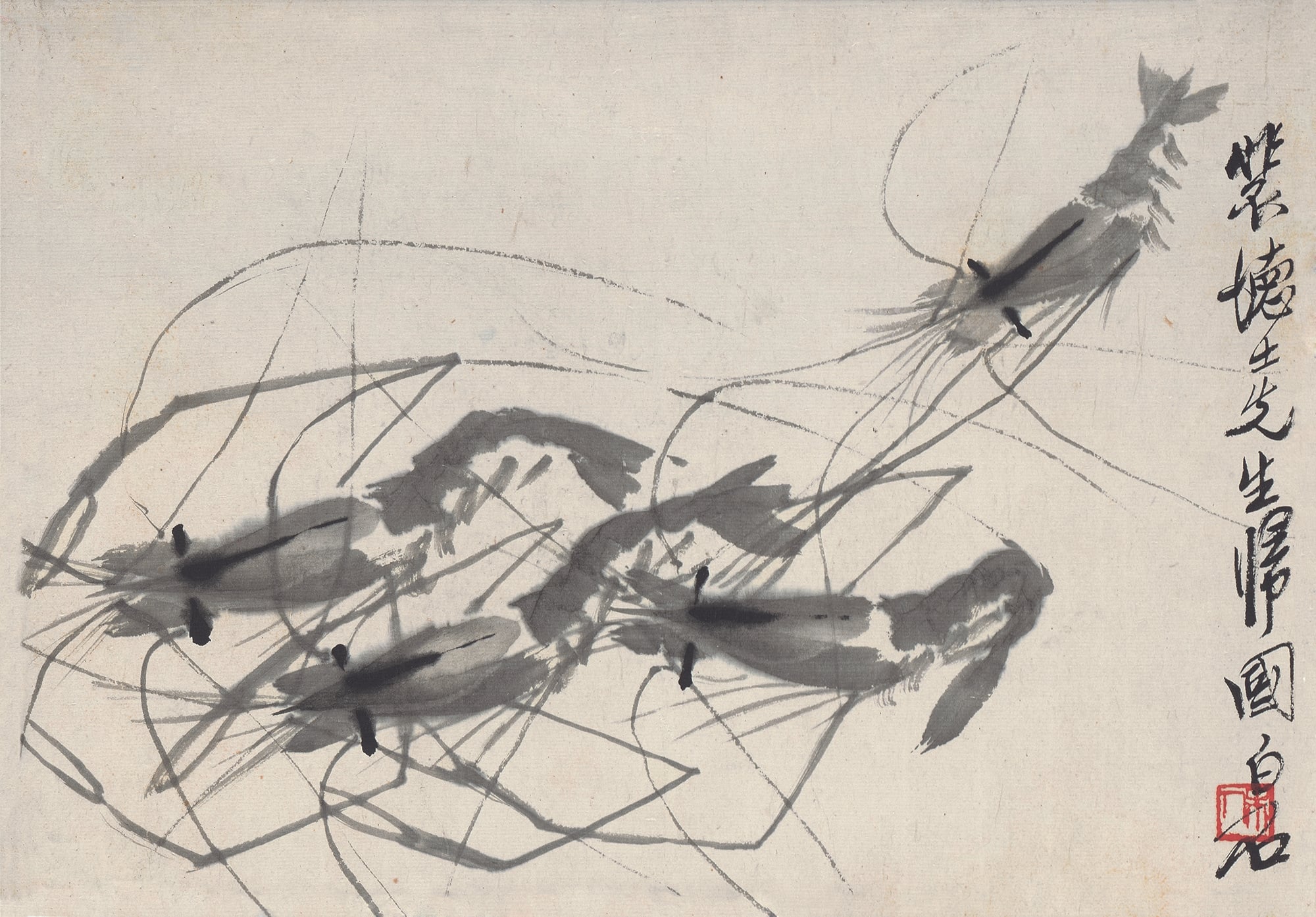 虫鱼画 - 虾 - 水墨绘灵动鲜活之虾 