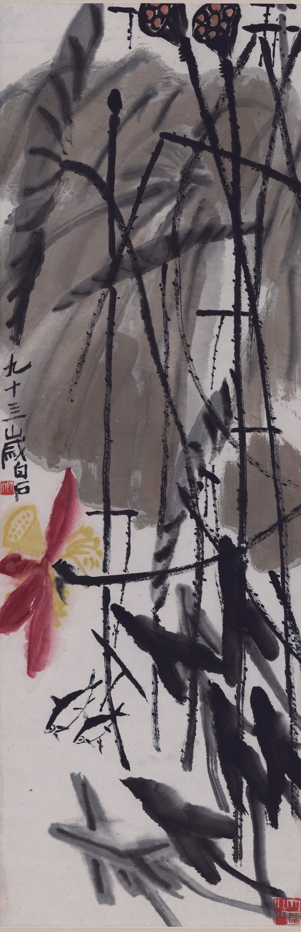 花鸟画 - 九十三岁白石作品 - 墨彩绘就荷莲之景致 