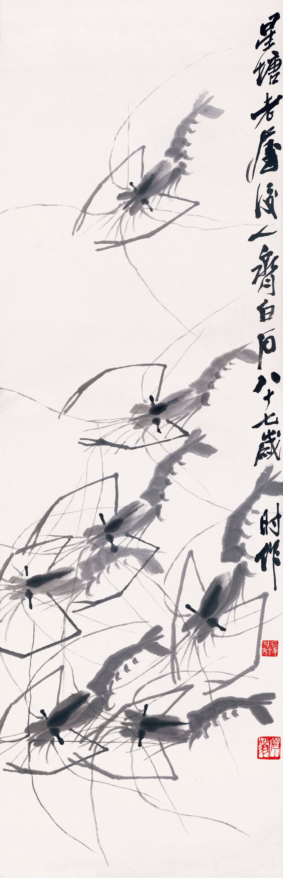 虫鱼画 - 墨虾 - 水墨绘灵动鲜活之虾 