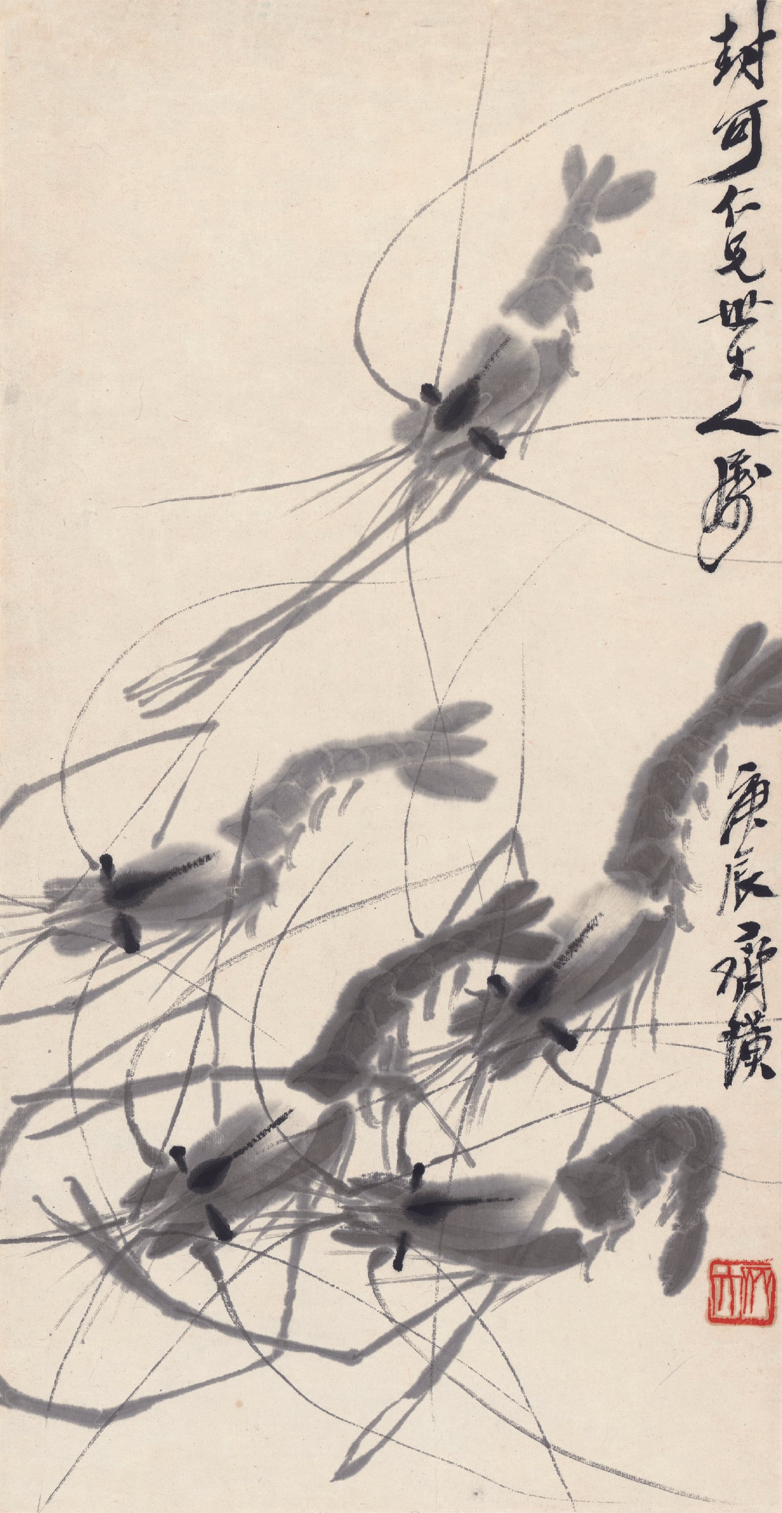 虫鱼画 - 墨虾 - 水墨绘灵动鲜活群虾 