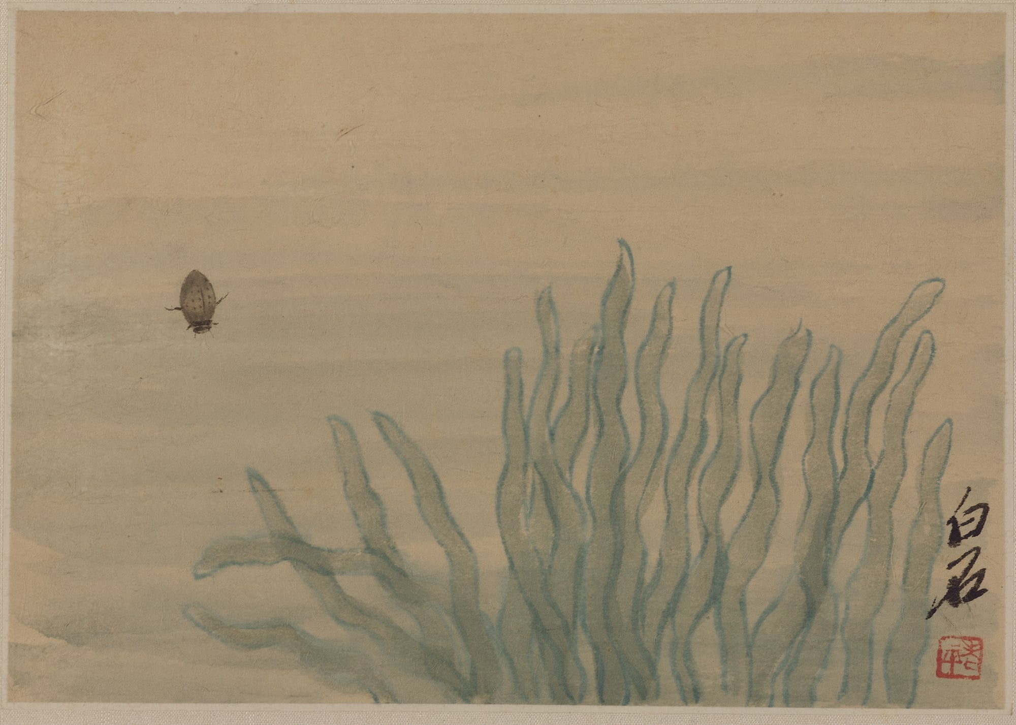 虫鱼画 - 白石笔下虫与水草  - 