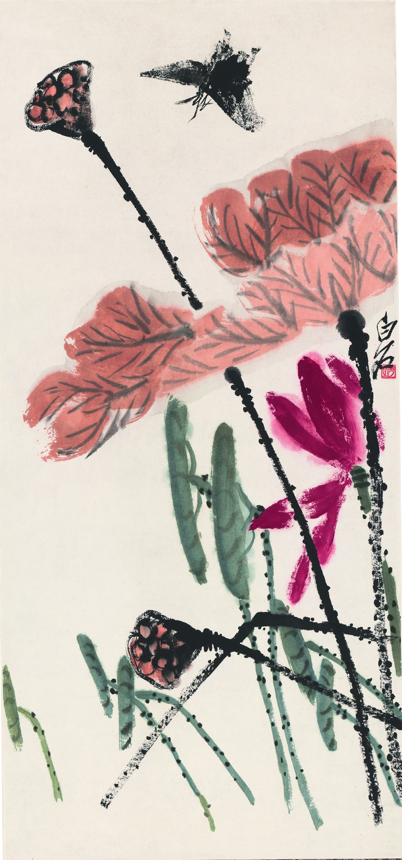 花鸟画 - 未知 - 绘花卉蜻蜓展现生机 