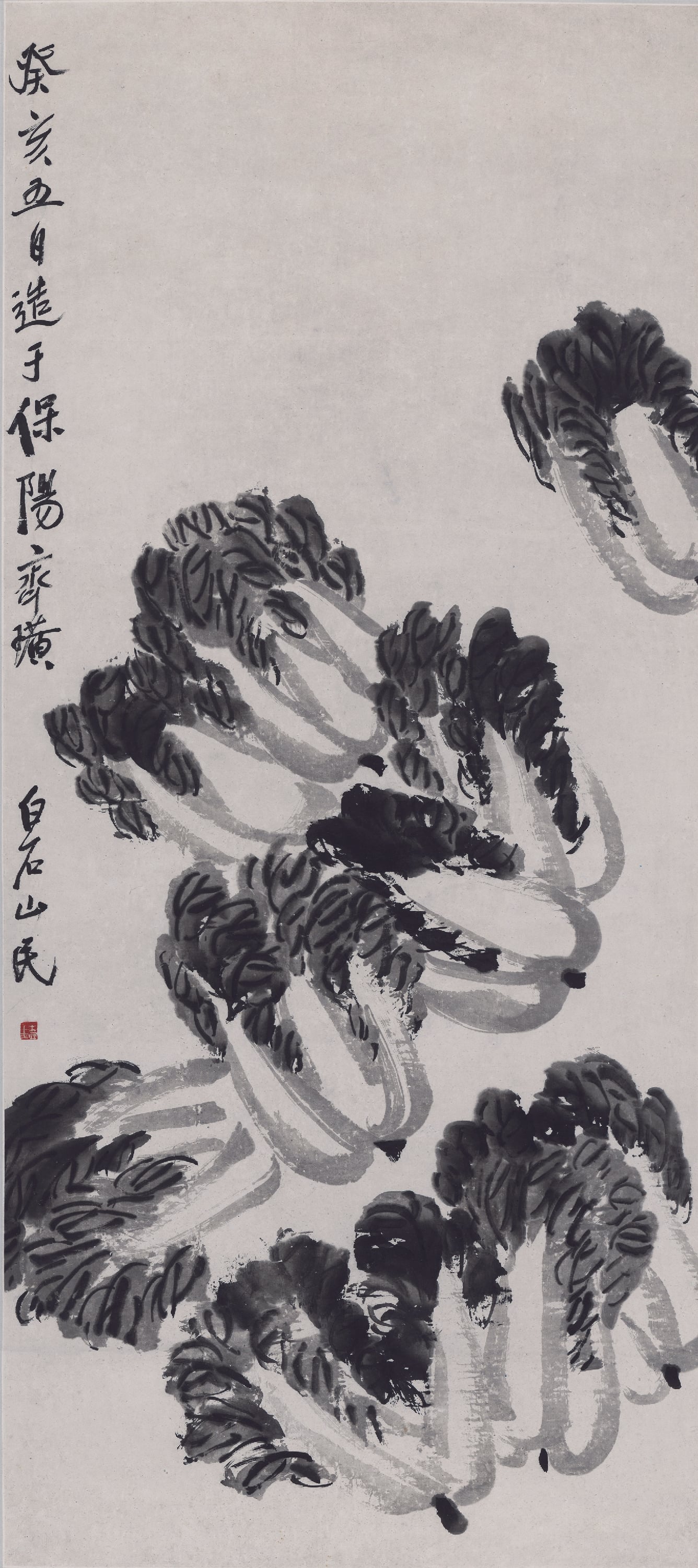 蔬果画 - 白菜图 - 水墨绘就白菜之神韵 