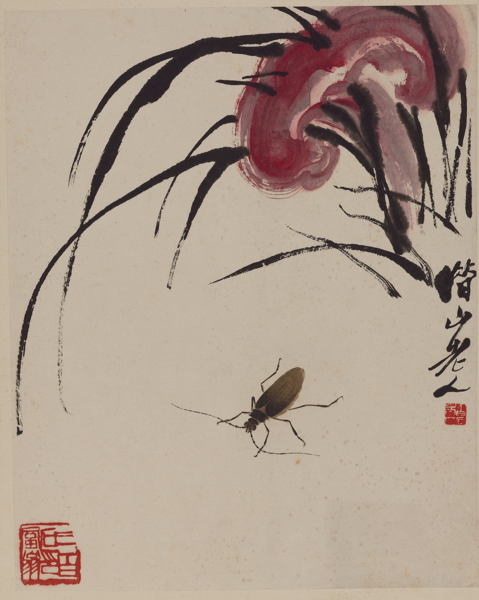 虫鱼画 - 未知 - 绘小虫伴以花草景致 