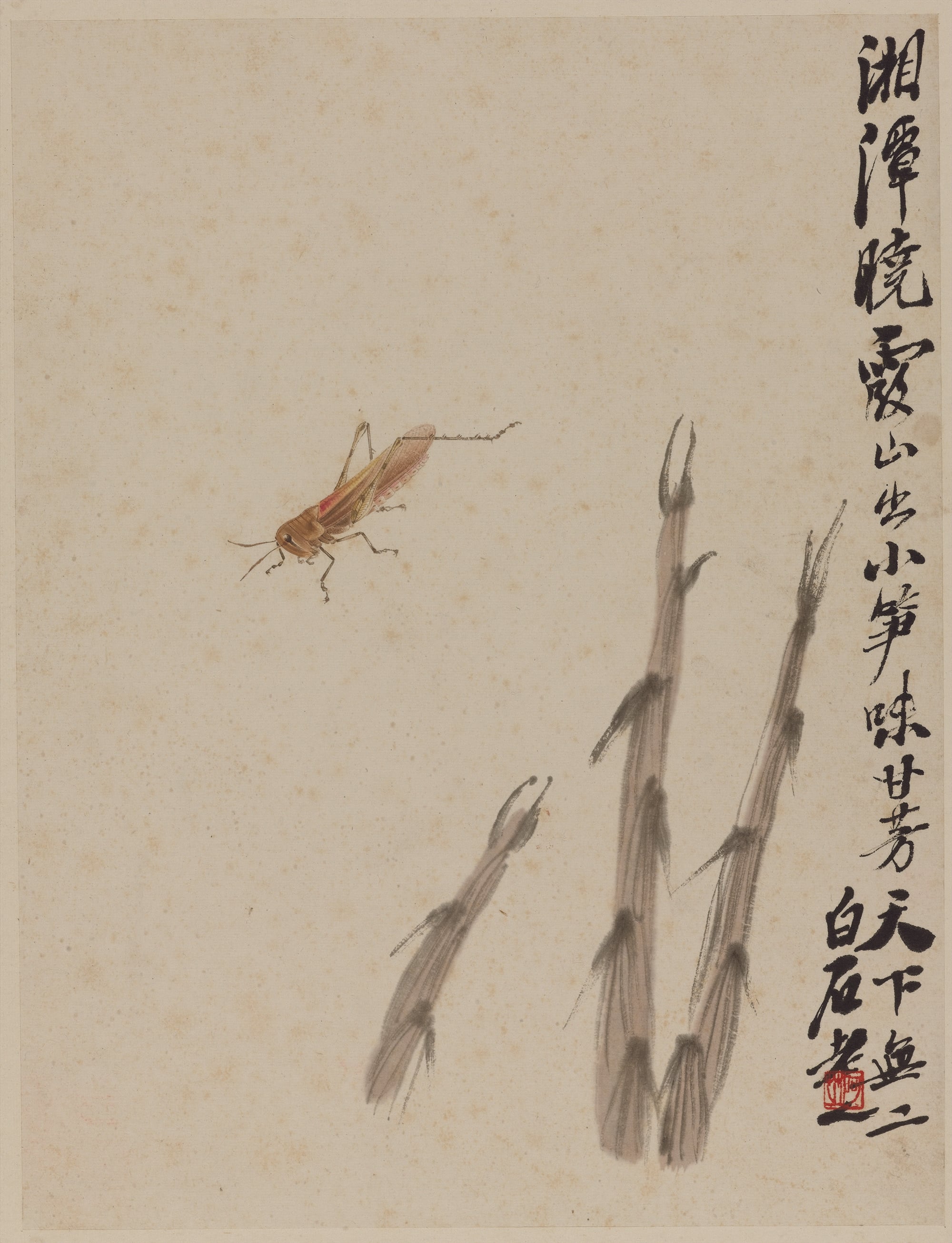 虫鱼画 - 未知 - 画中蝗虫伴立草之旁 
