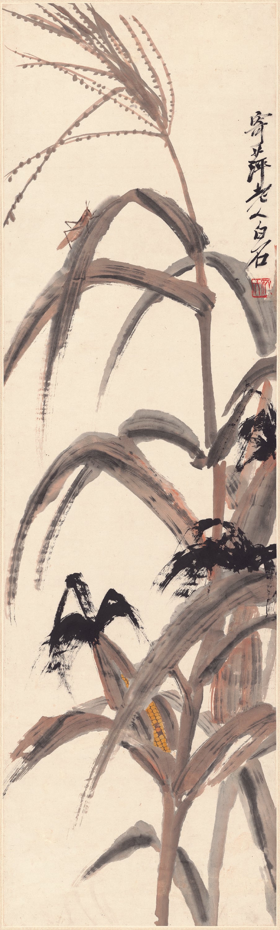 花鸟画 - 玉米草虫图 - 墨绘玉米伴草间小虫 