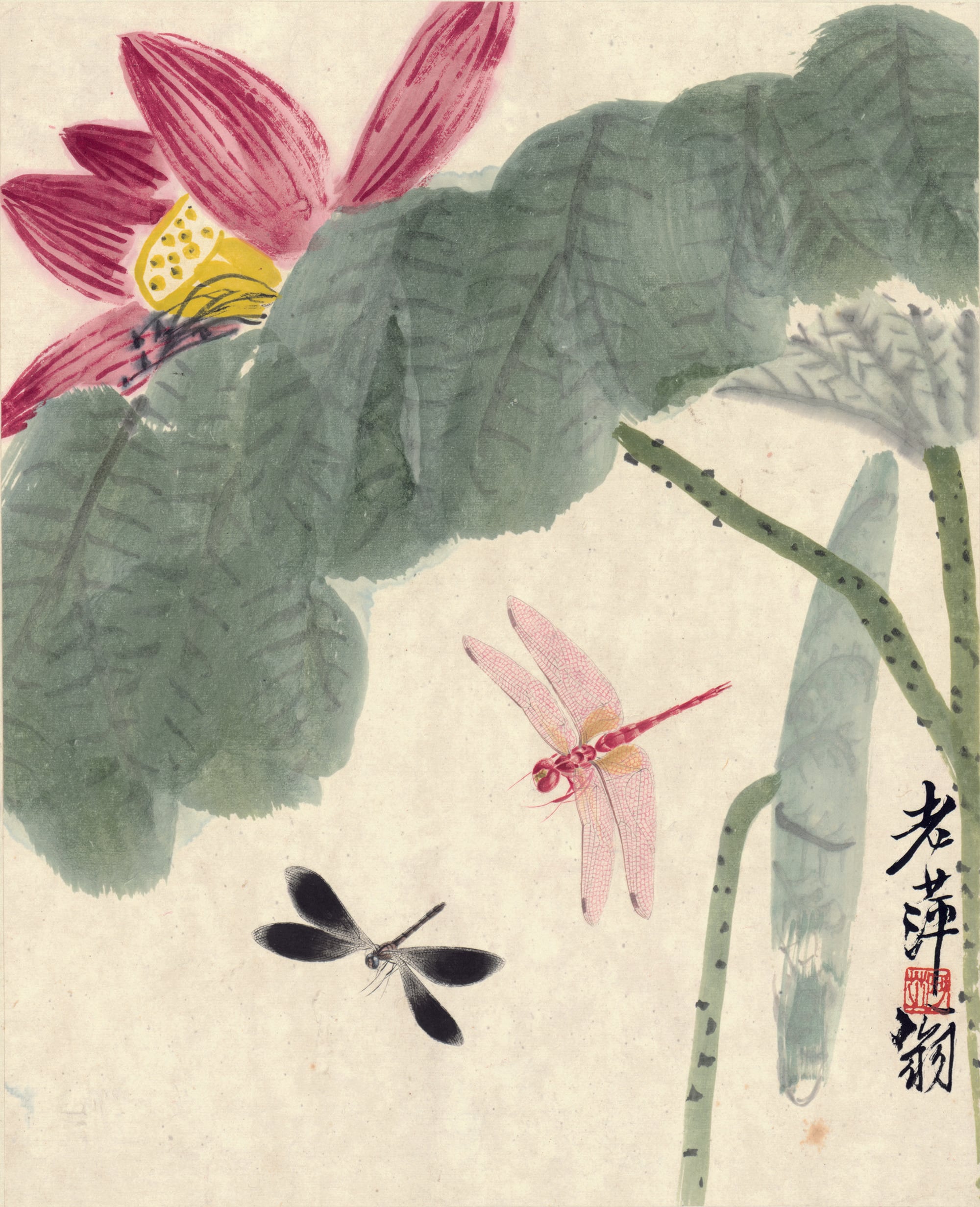 花鸟画 - 未知 - 荷花蜻蜓绘就灵动画面 