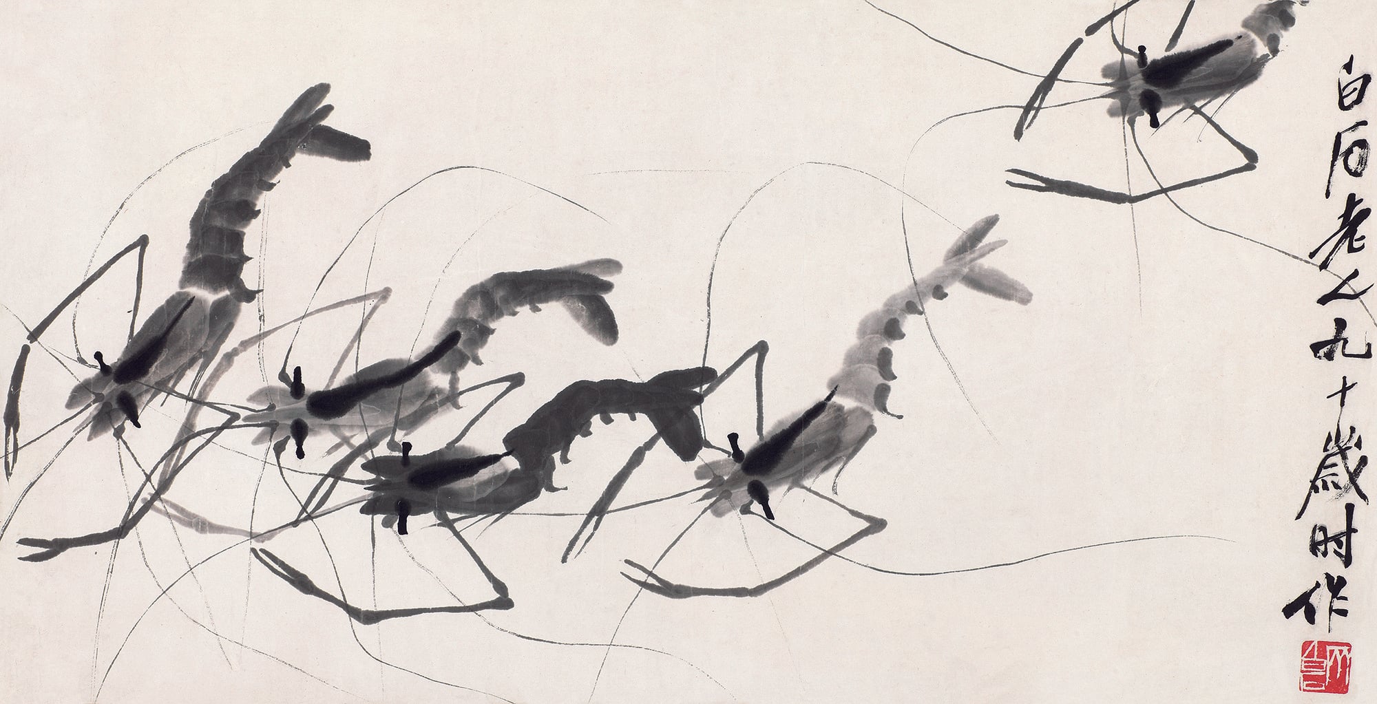 虫鱼画 - 墨虾 - 水墨绘灵动群虾之态 