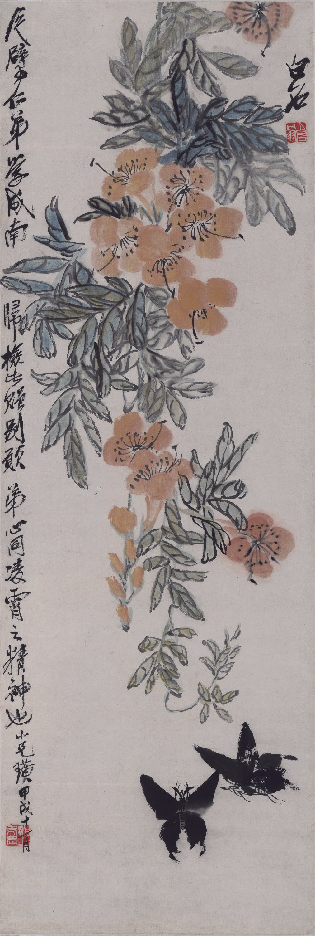 花鸟画 - 未知 - 绘花卉蝴蝶展自然美 