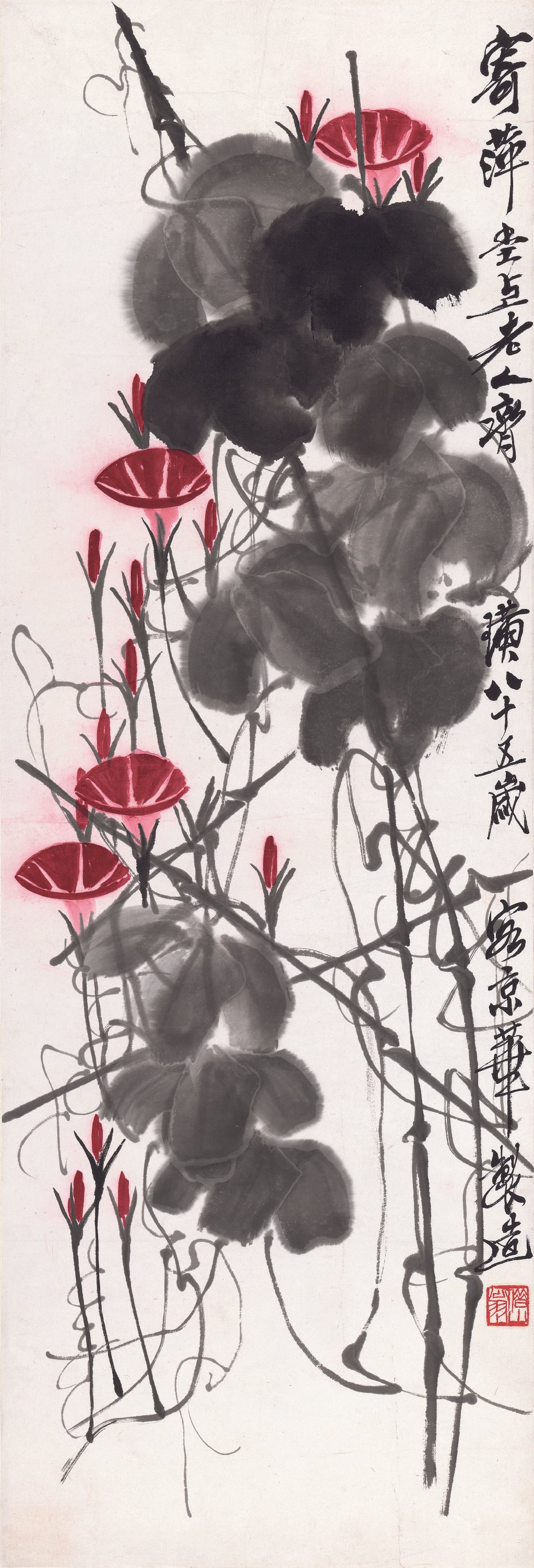 花鸟画 - 牵牛花 - 墨叶红花绘牵牛之姿 