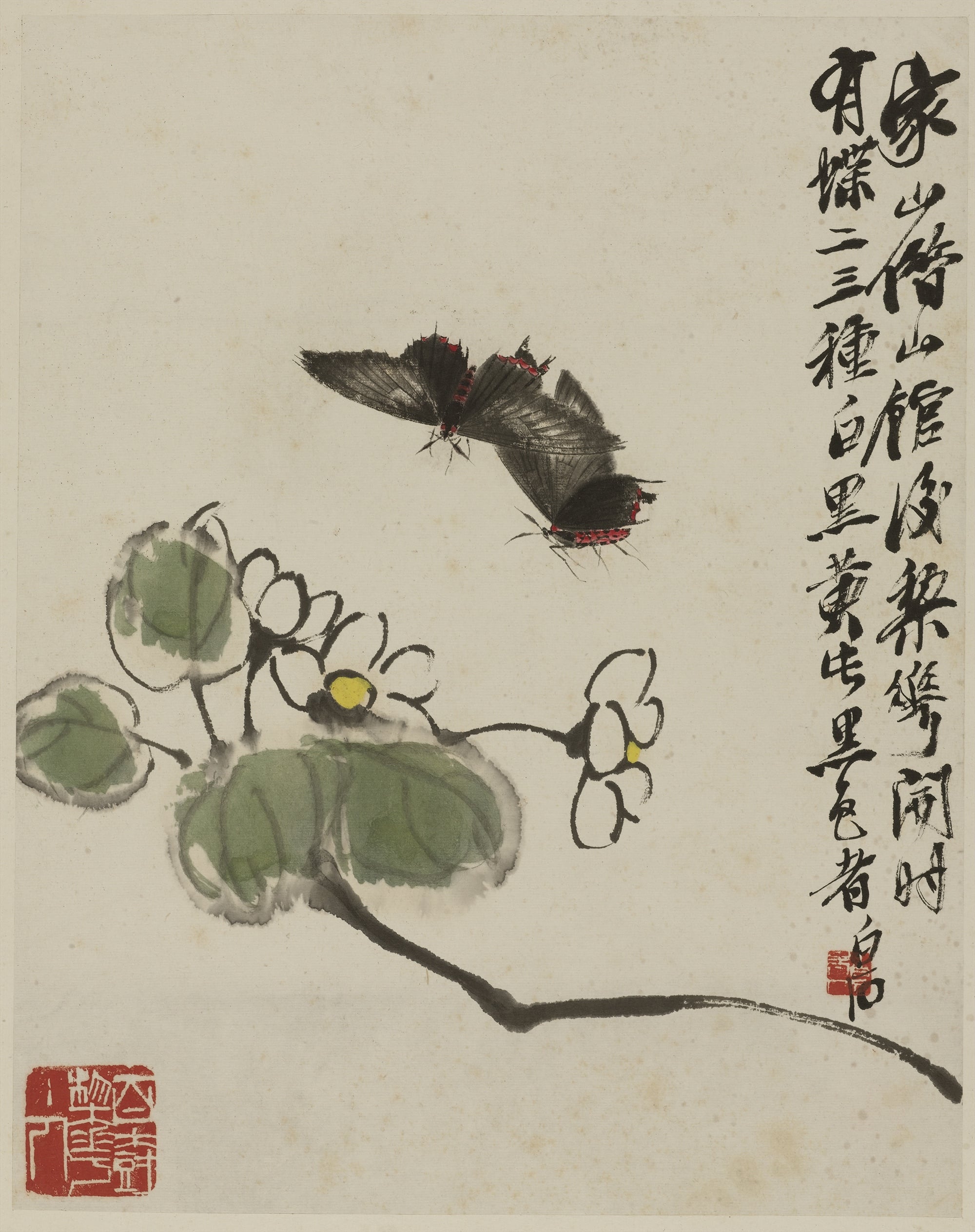 花鸟画 - 未知 - 双蝶绕花添自然意趣 