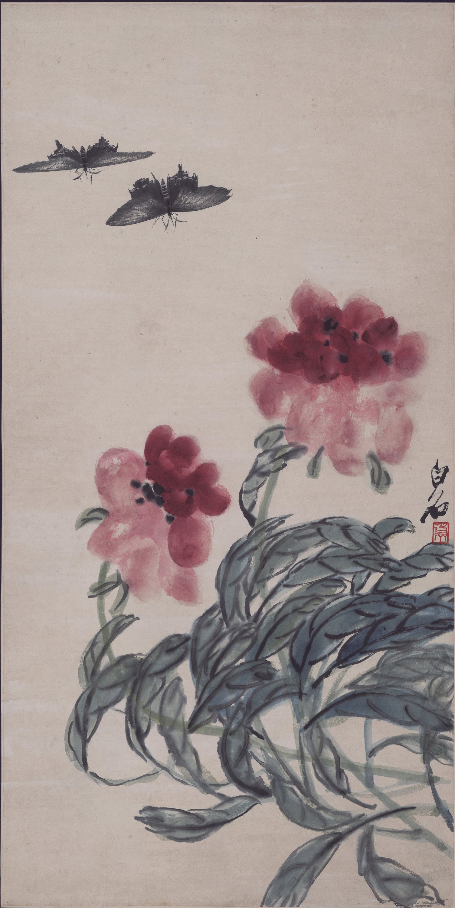 花鸟画 - 未知名花卉蝴蝶图 - 花卉绽放蝴蝶翩翩飞 