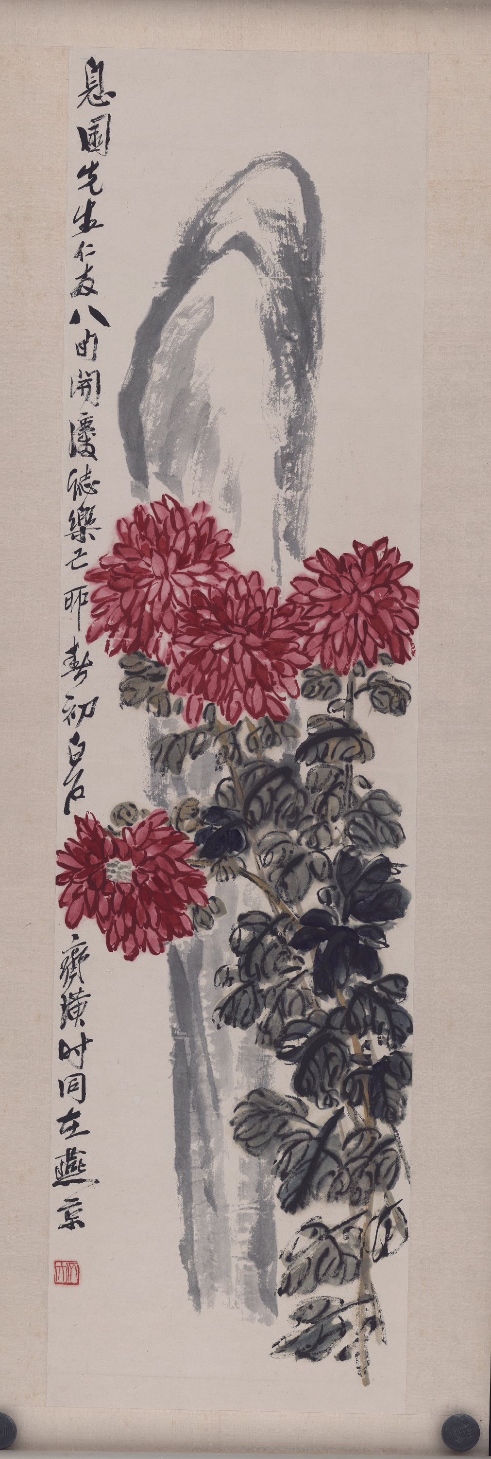 花鸟画 - 未知 - 画中绽放娇艳绚丽菊花 