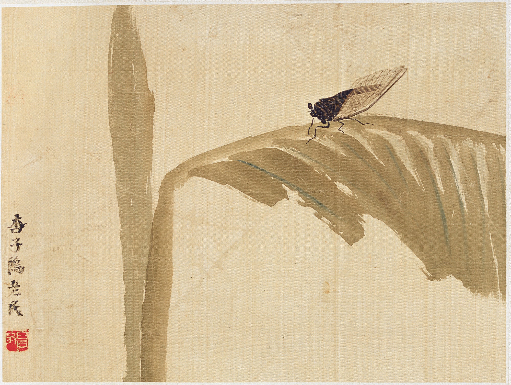 虫鱼画 - 蝉栖蕉叶图 - 蝉立蕉叶展灵动之态 