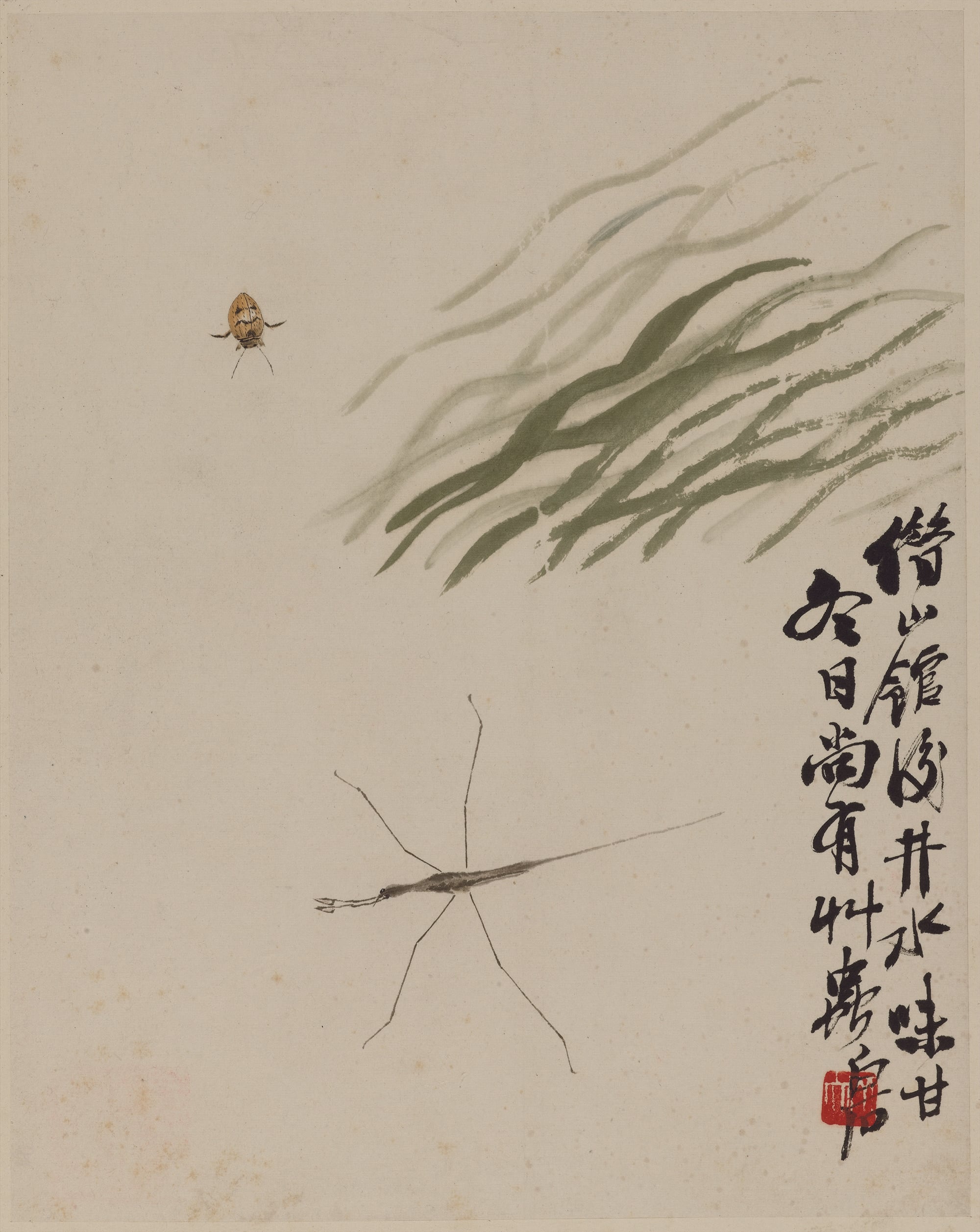 虫鱼画 - 未知 - 绘小虫水草尽显生机 