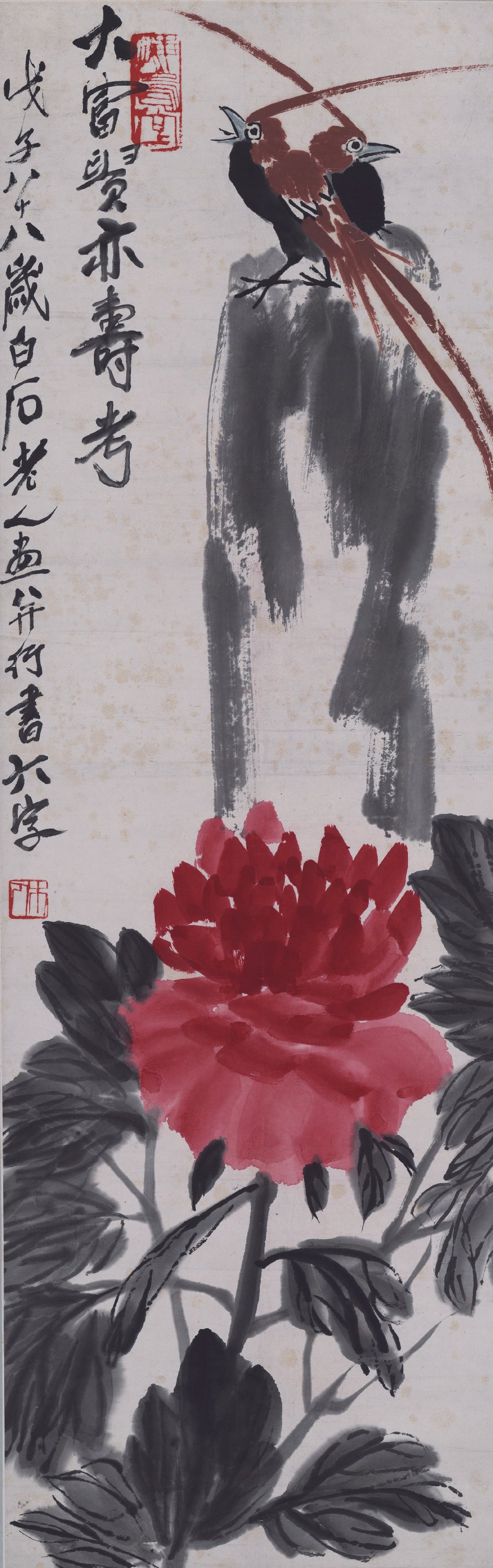 花鸟画 - 大富贵亦寿考 - 牡丹配鸟呈富贵寿意 