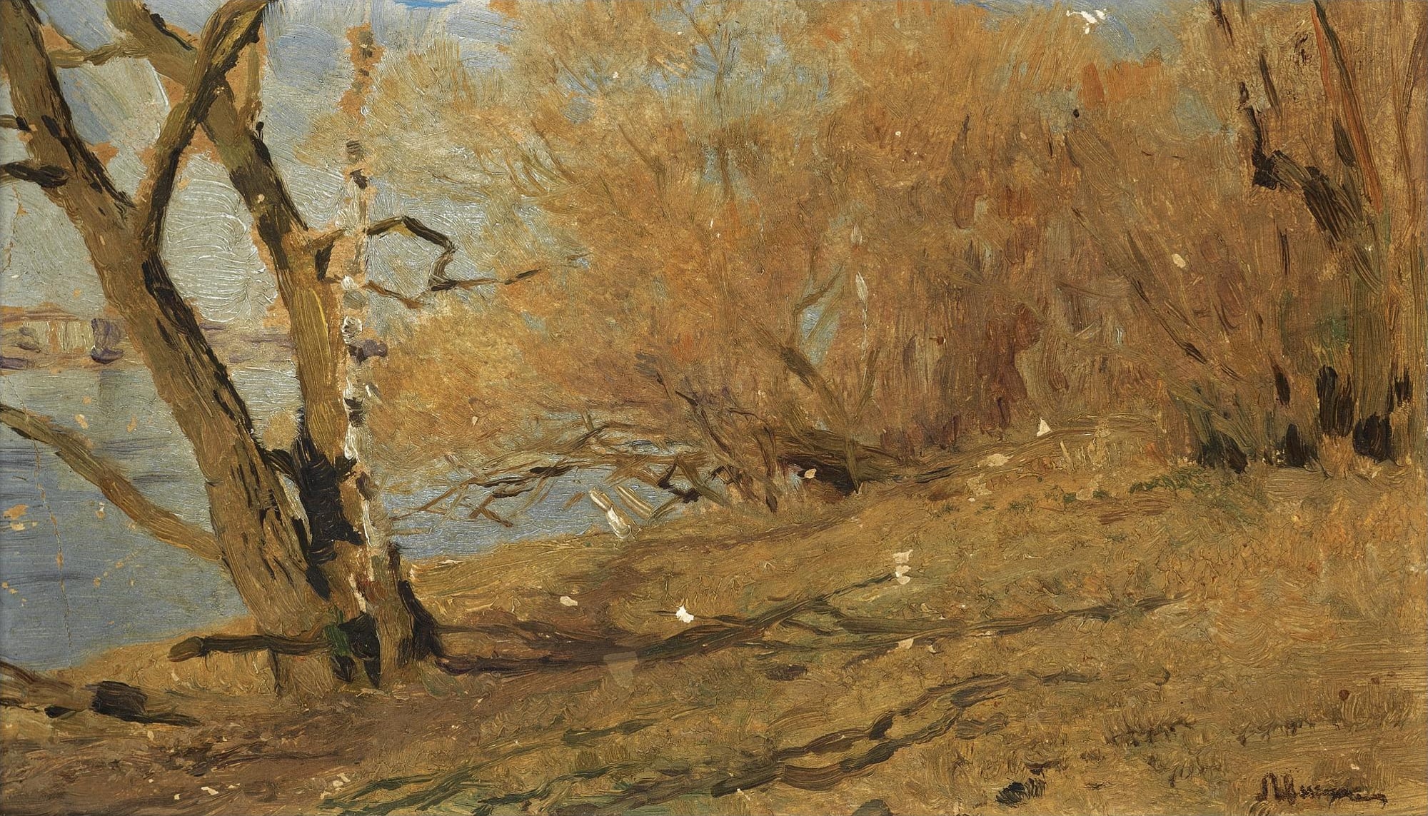 自然光影变化主题 - 未知名画作 - 光影交织展现自然之美 