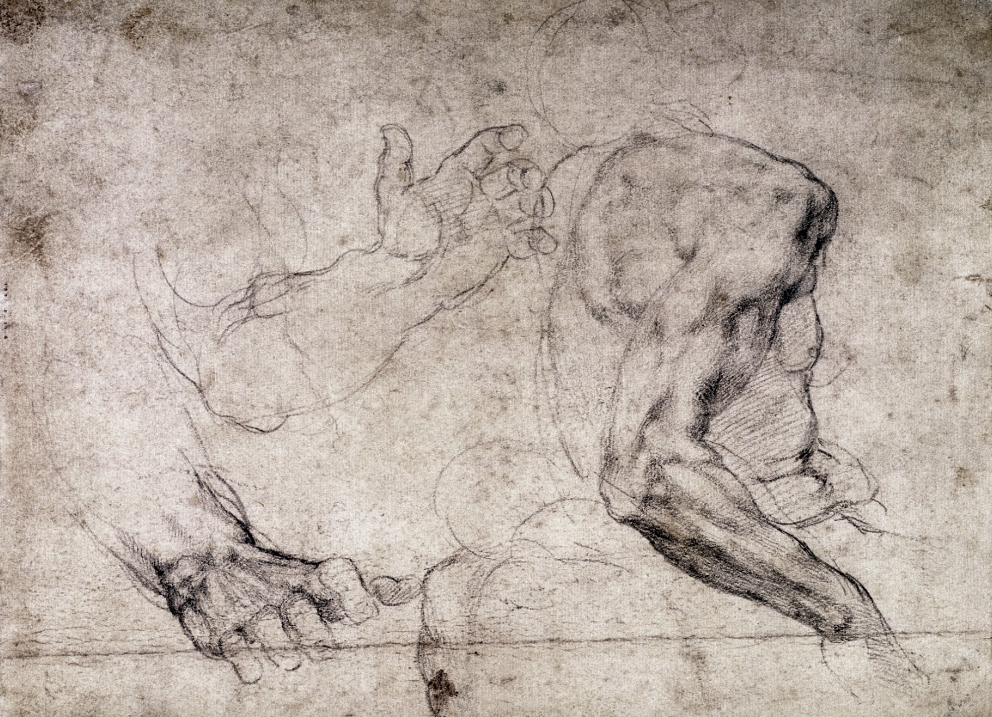 其他 - 手臂手部素描习作 - 展现手臂手部结构形态 