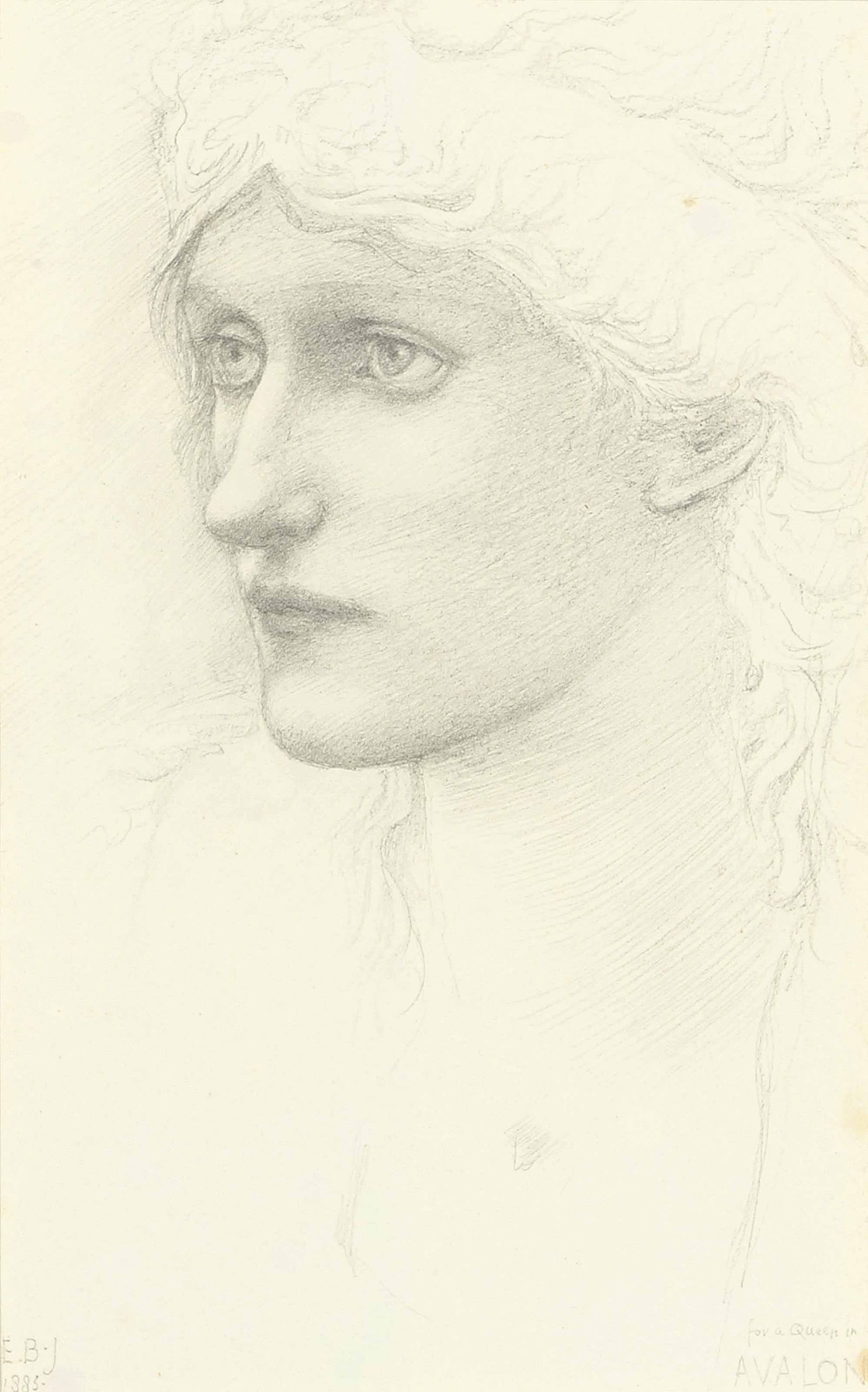 女性形象塑造主题 - 为阿瓦隆的女王 - 描绘优雅女性侧面神态 