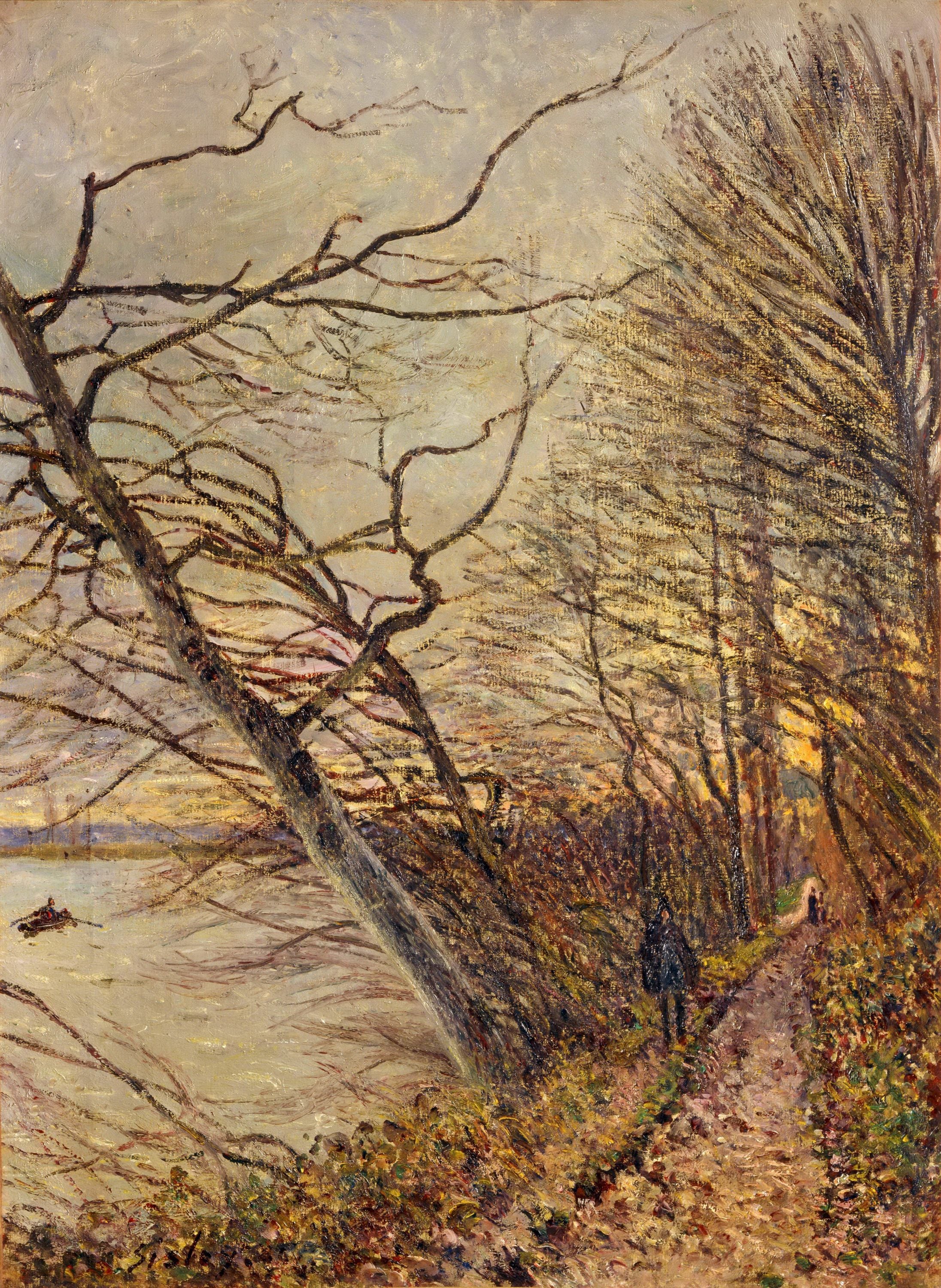 自然风景风貌主题 - 冬日河畔漫步景致 - 冬日河畔漫步的静谧景象 