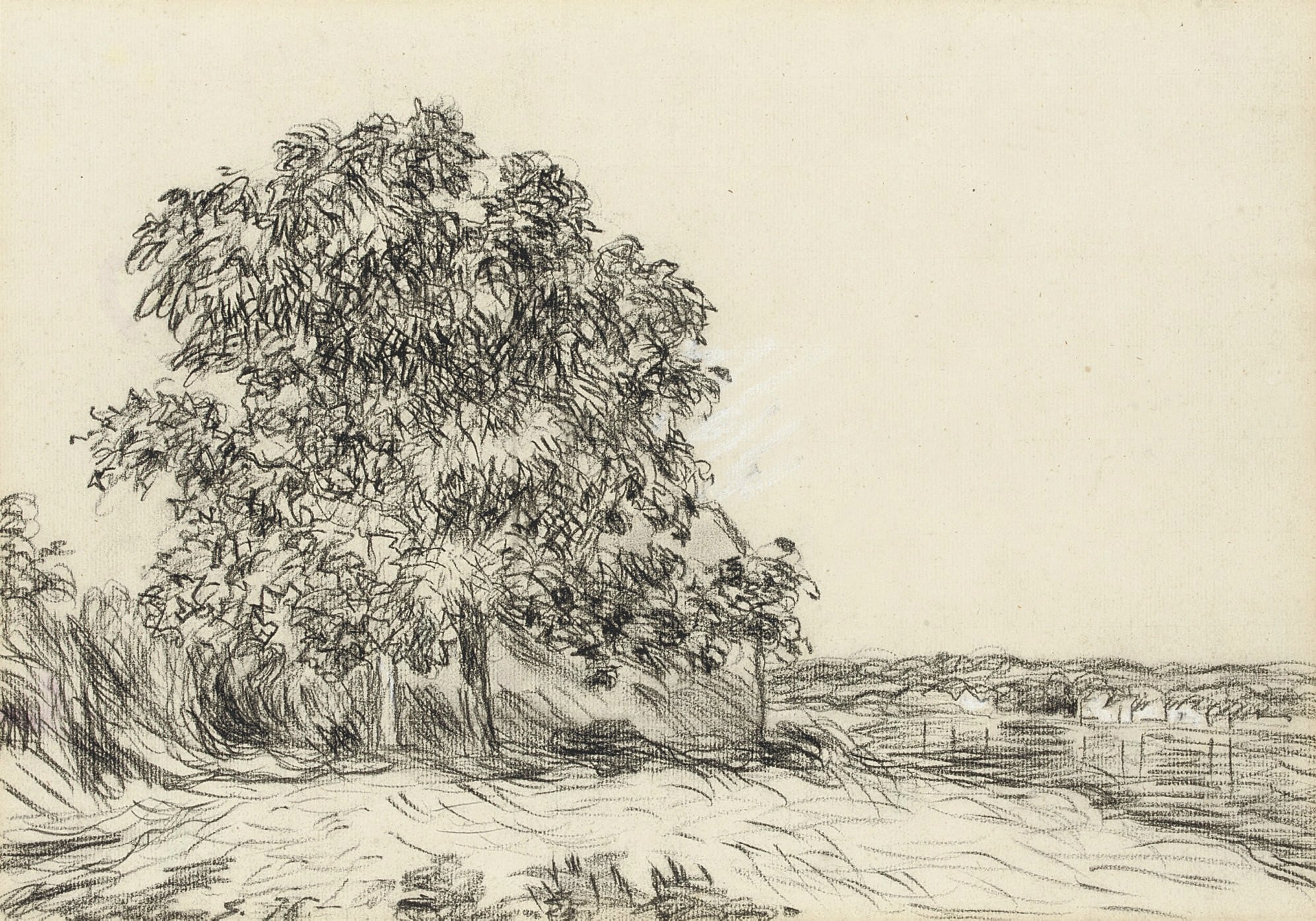 自然风景风貌主题 - 素描中的大树景致 - 以素描绘就的大树风光 