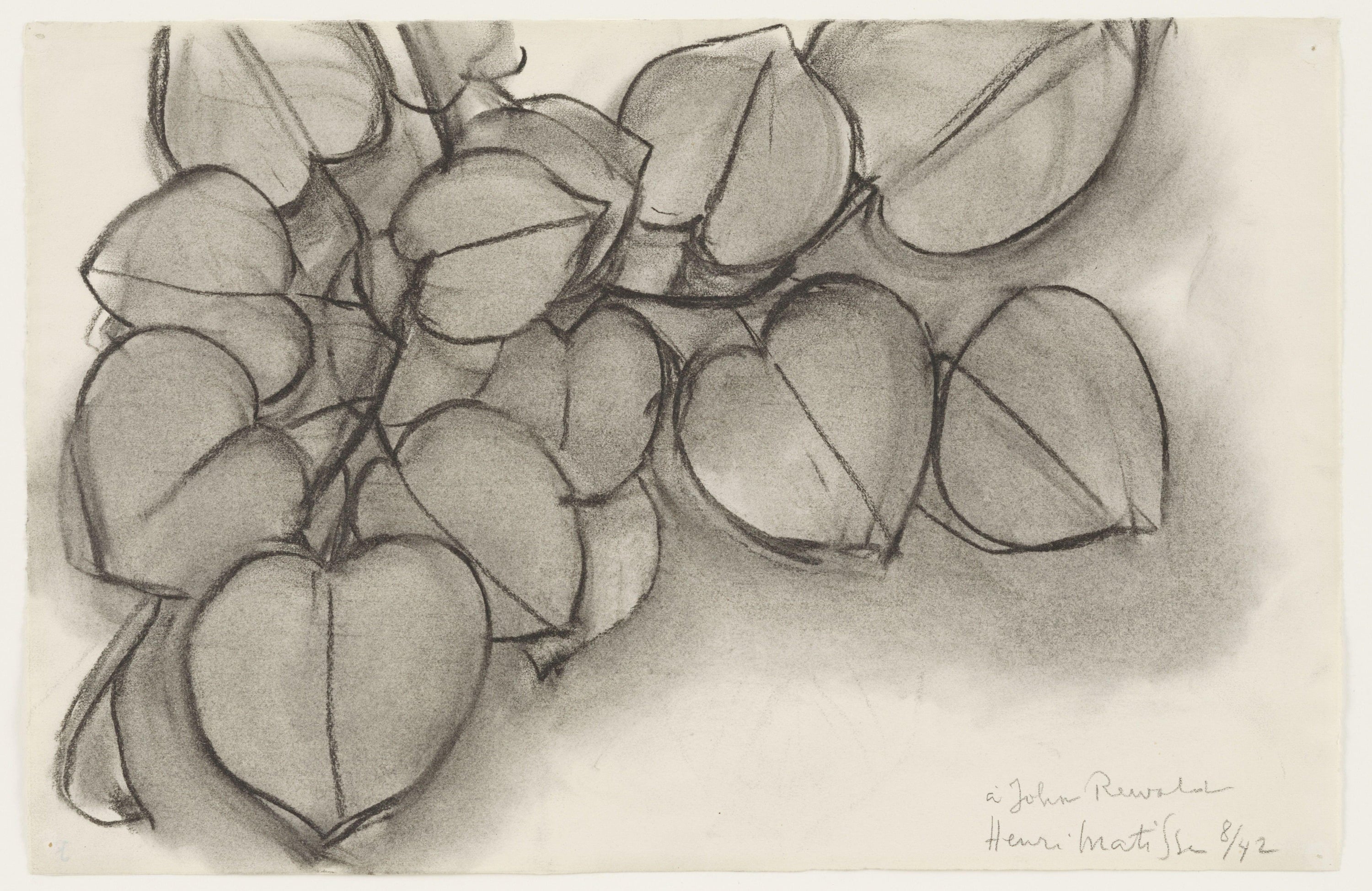 其他 - 无题 - 铅笔绘制心形叶片素描 