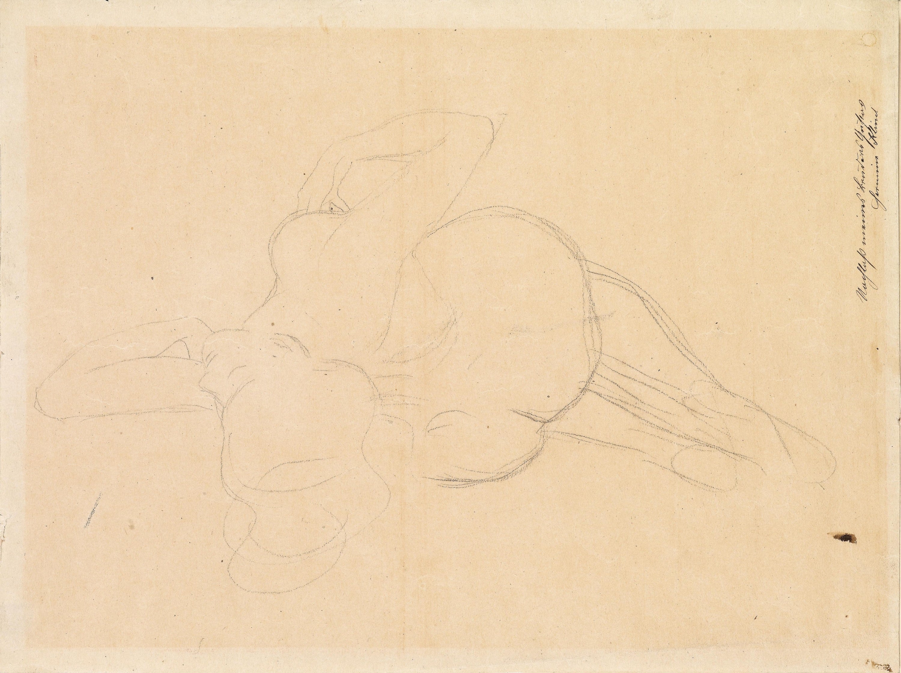 女性人体之美主题 - 无题 - 勾勒女性躺姿身体线条 