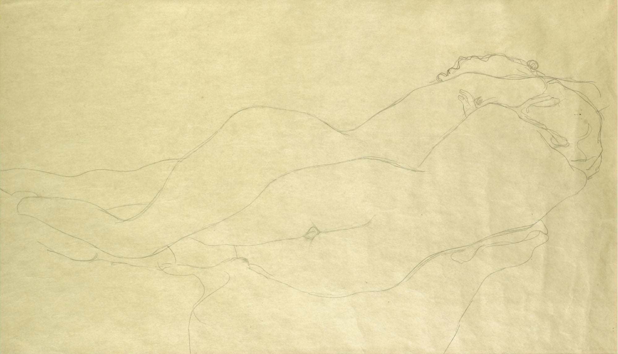 女性人体之美主题 - 无题 - 线条勾勒女性柔美身姿 