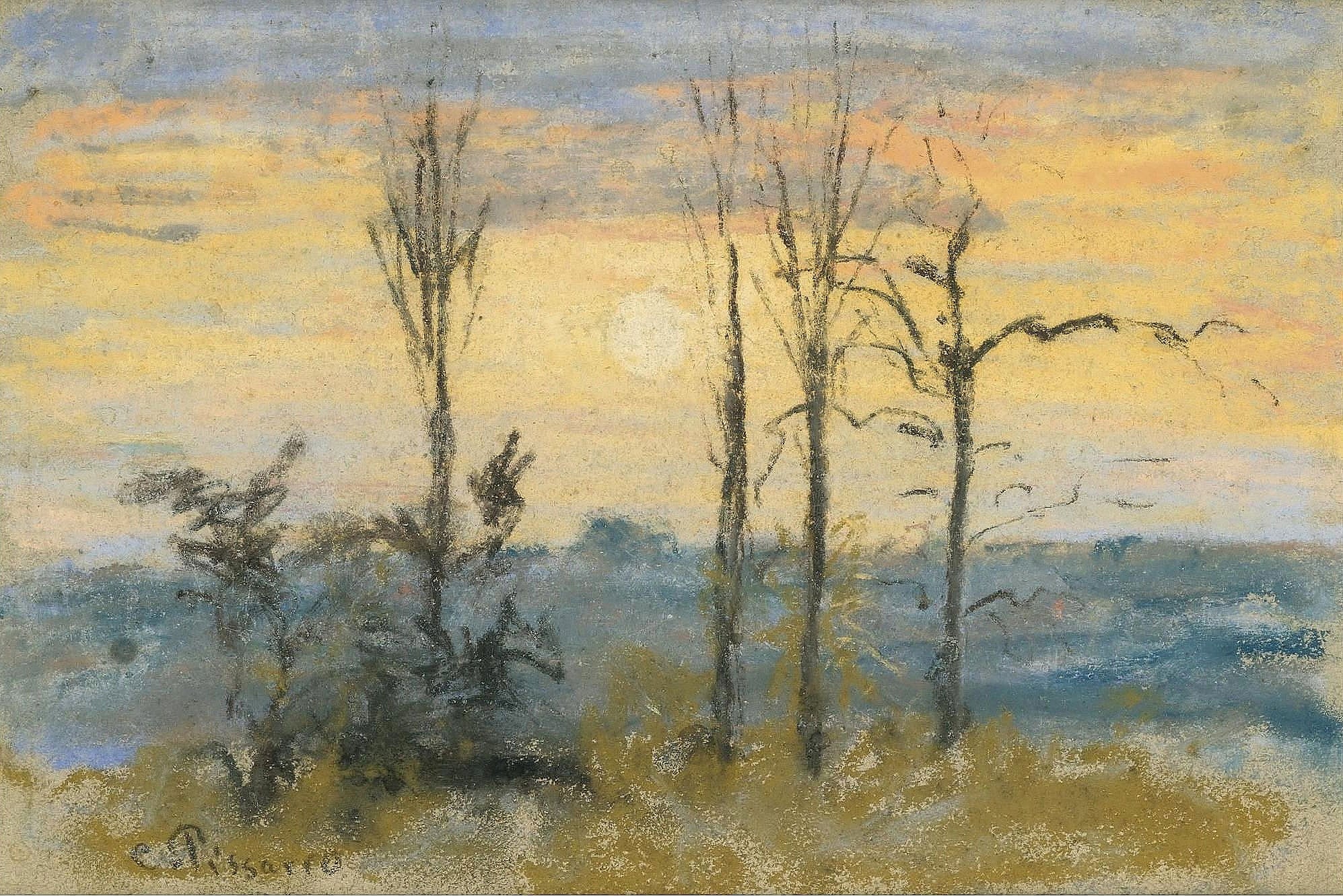 印象派光影效果主题 - 日出时的树木景致 - 展现日出光影下树木景致 