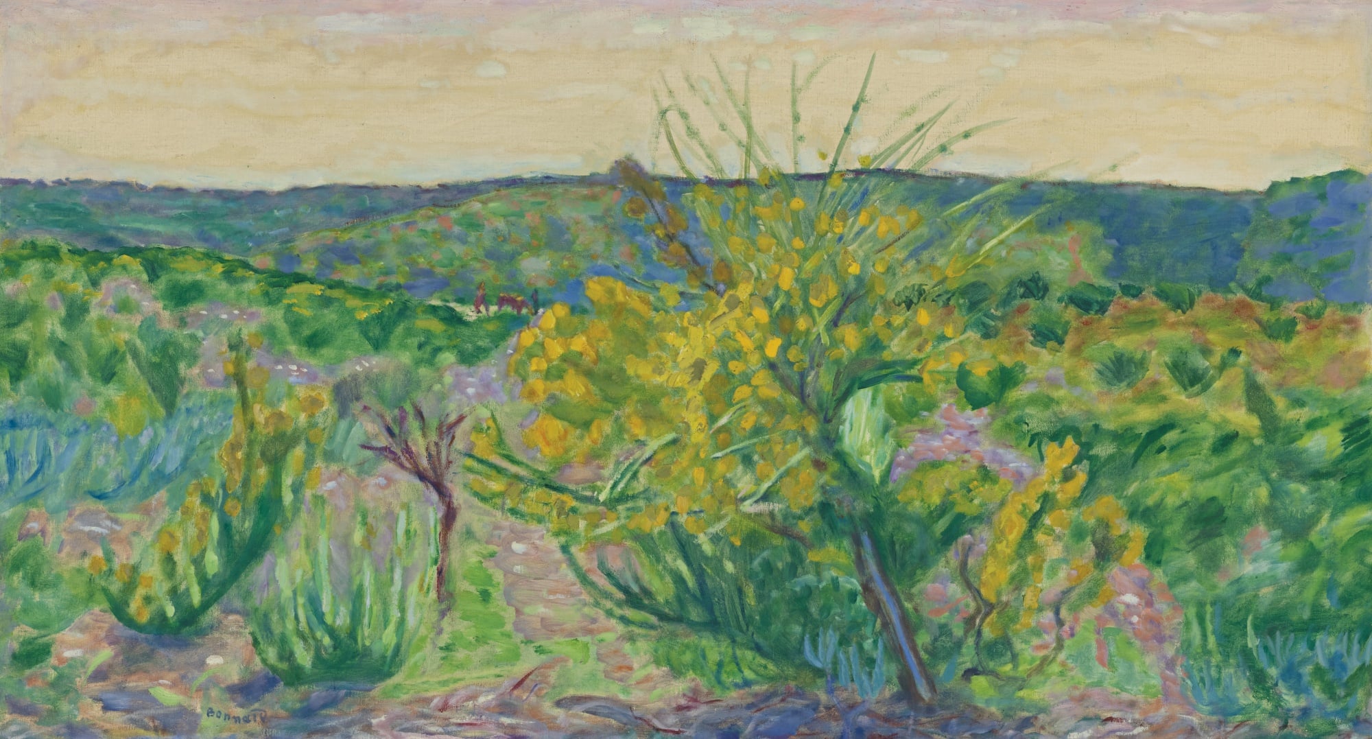 其他 - 未知 - 展现自然景色与植物风貌 