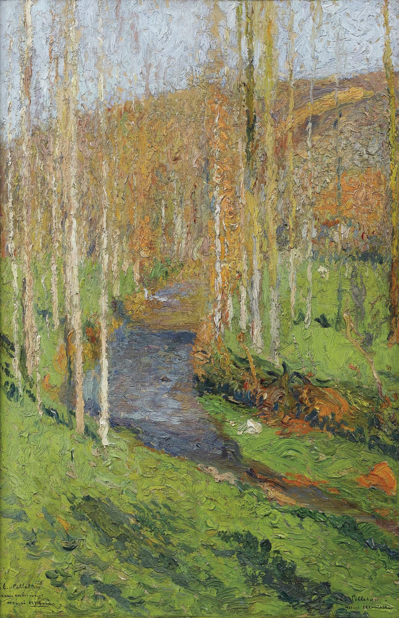 风景诗意主题 - 林间小道 - 展现林间小道的诗意景致 