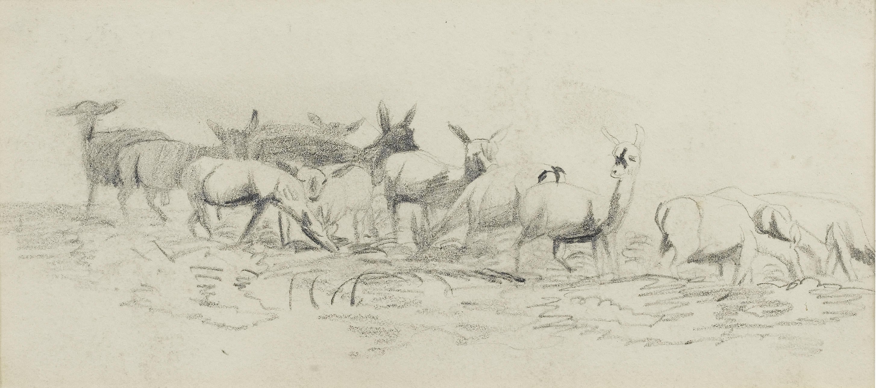 自然风光描绘主题 - 群鹿素描 - 群鹿于野的简洁素描 