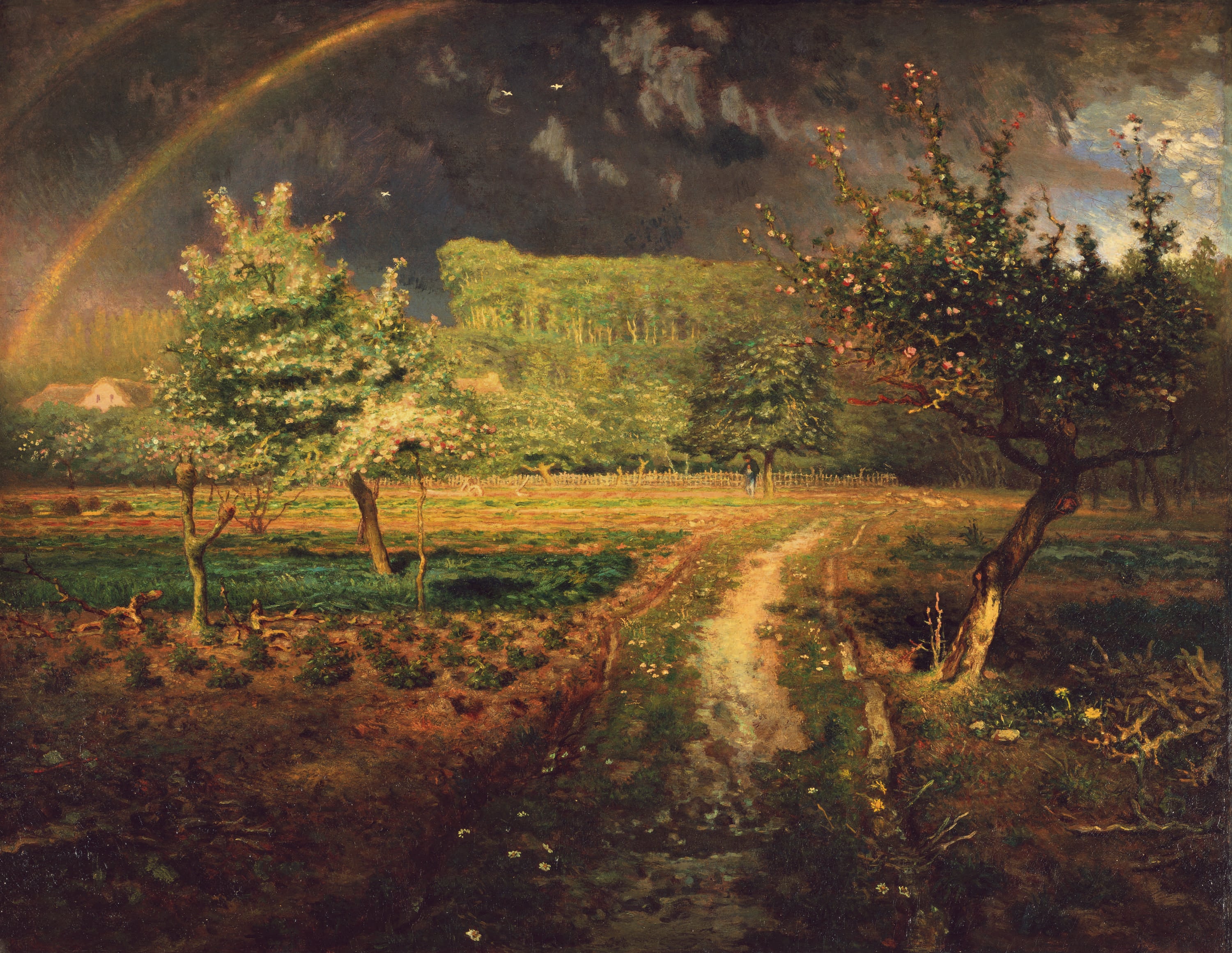 田园生活风情主题 - 无（未提及具体名字） - 田园雨后现彩虹景色迷人 