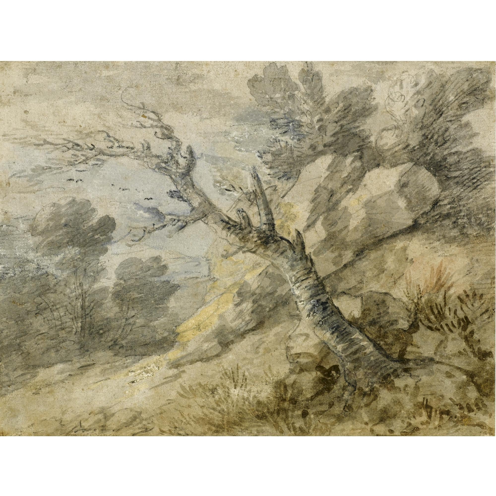 自然光影变化主题 - 无名风景素描 - 展现树木岩石光影之美 