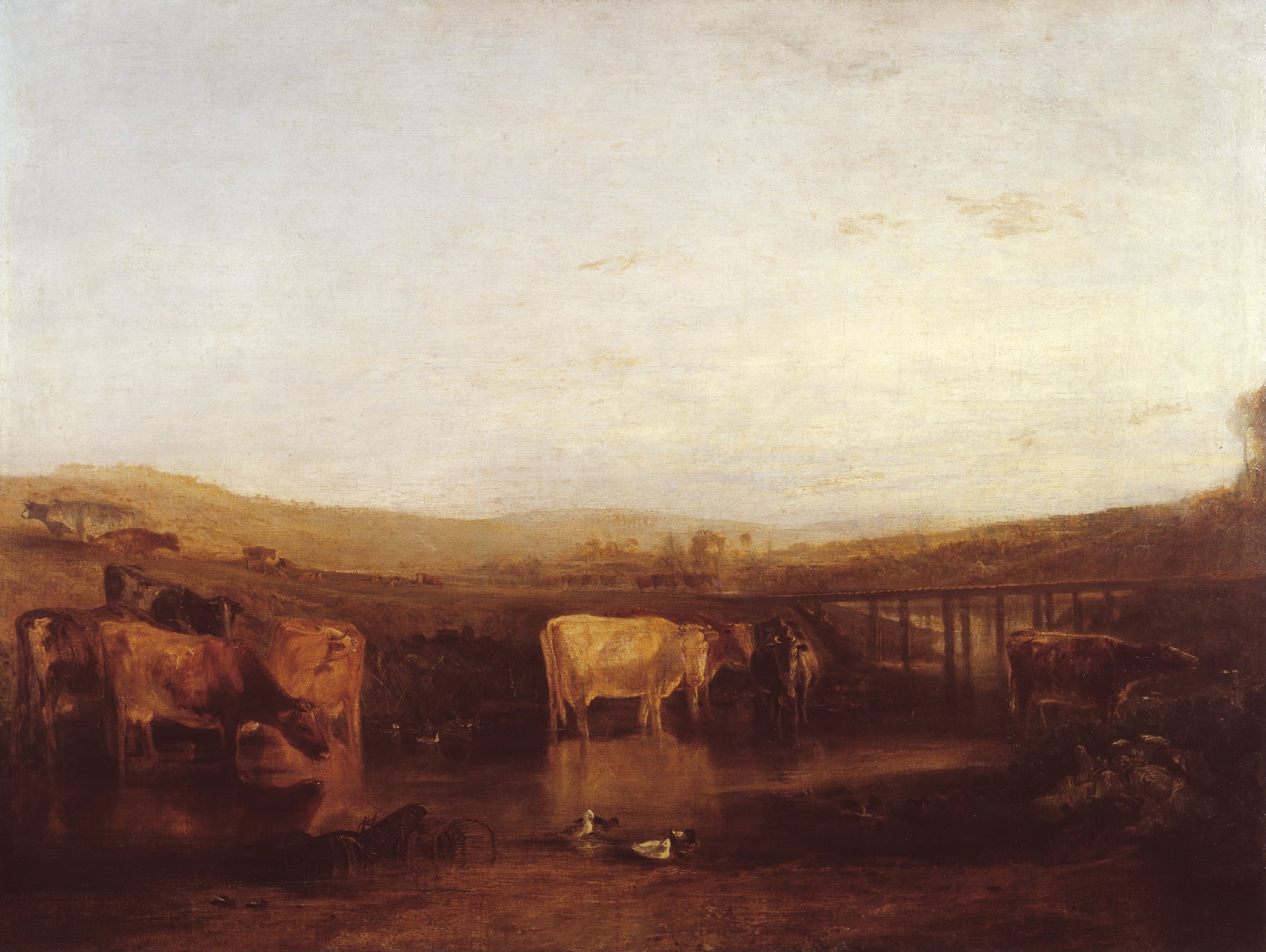 诗意氛围营造主题 - 未命名 - 描绘牛群于水边的静谧景 