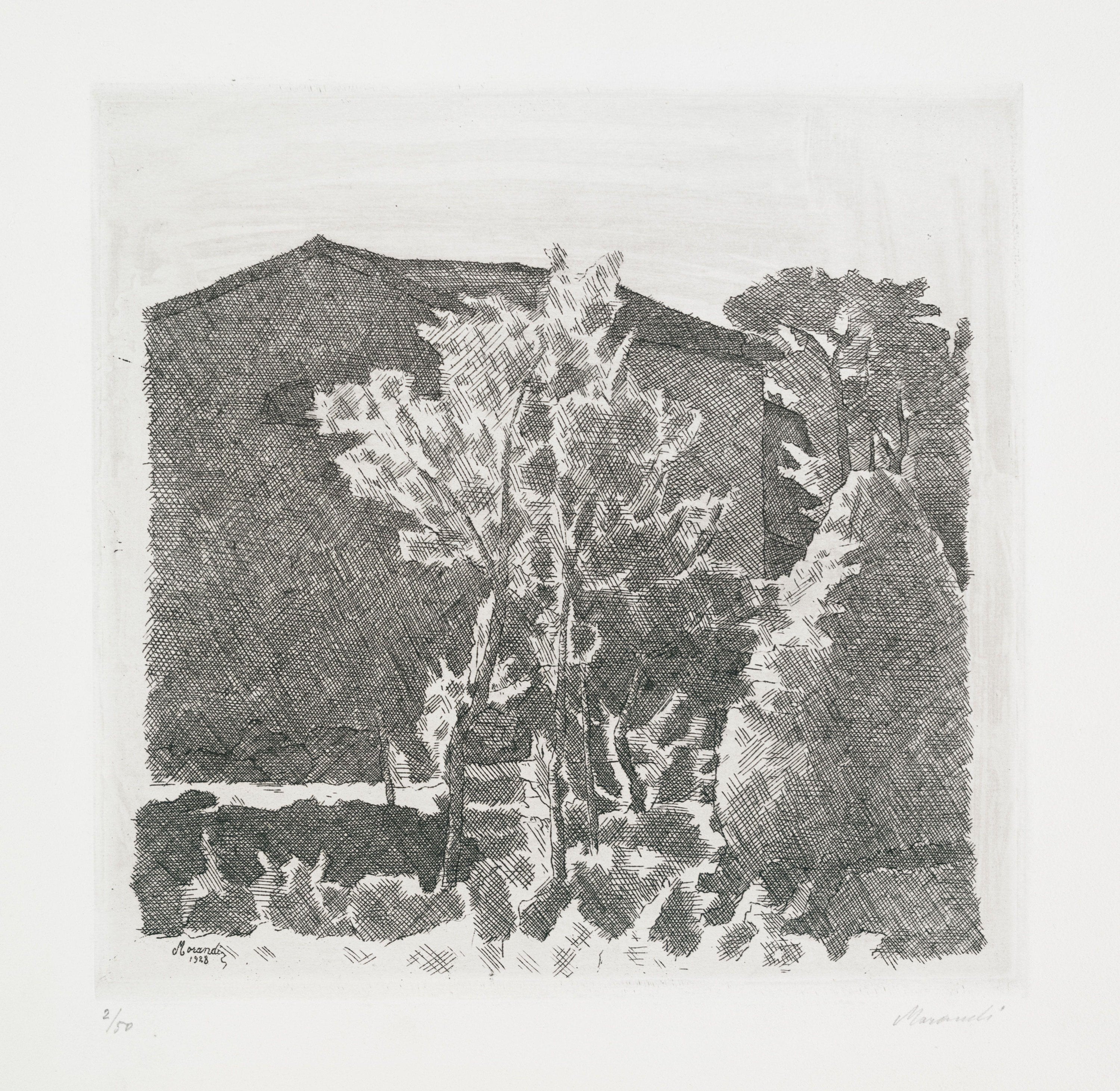 其他 - 未命名画作 - 黑白色调的景物描绘 