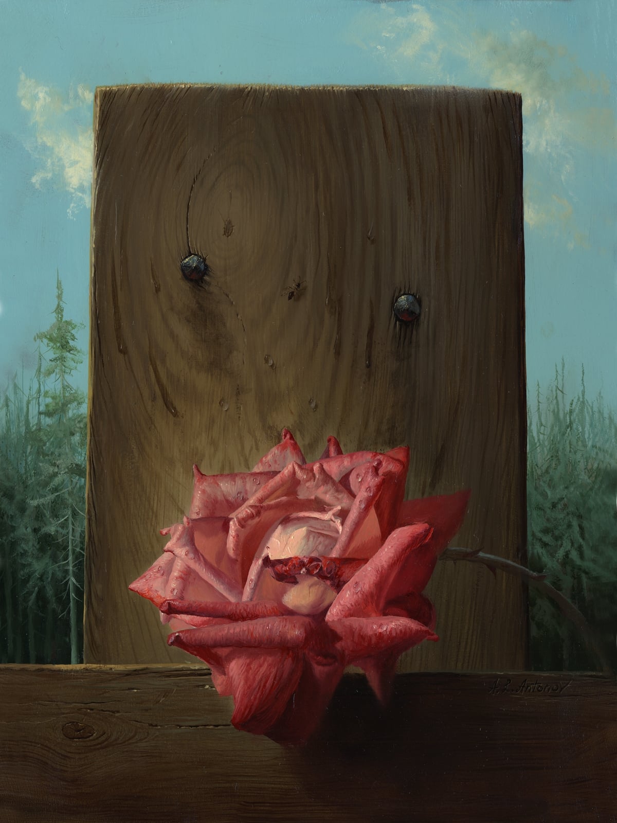 其他 - 无题 - 木板前绽放娇艳红玫瑰 