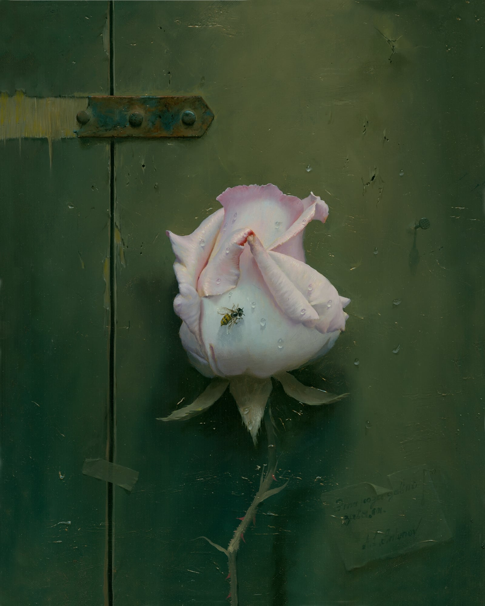 其他 - 玫瑰与蜂 - 粉玫栖蜂于旧物之上 