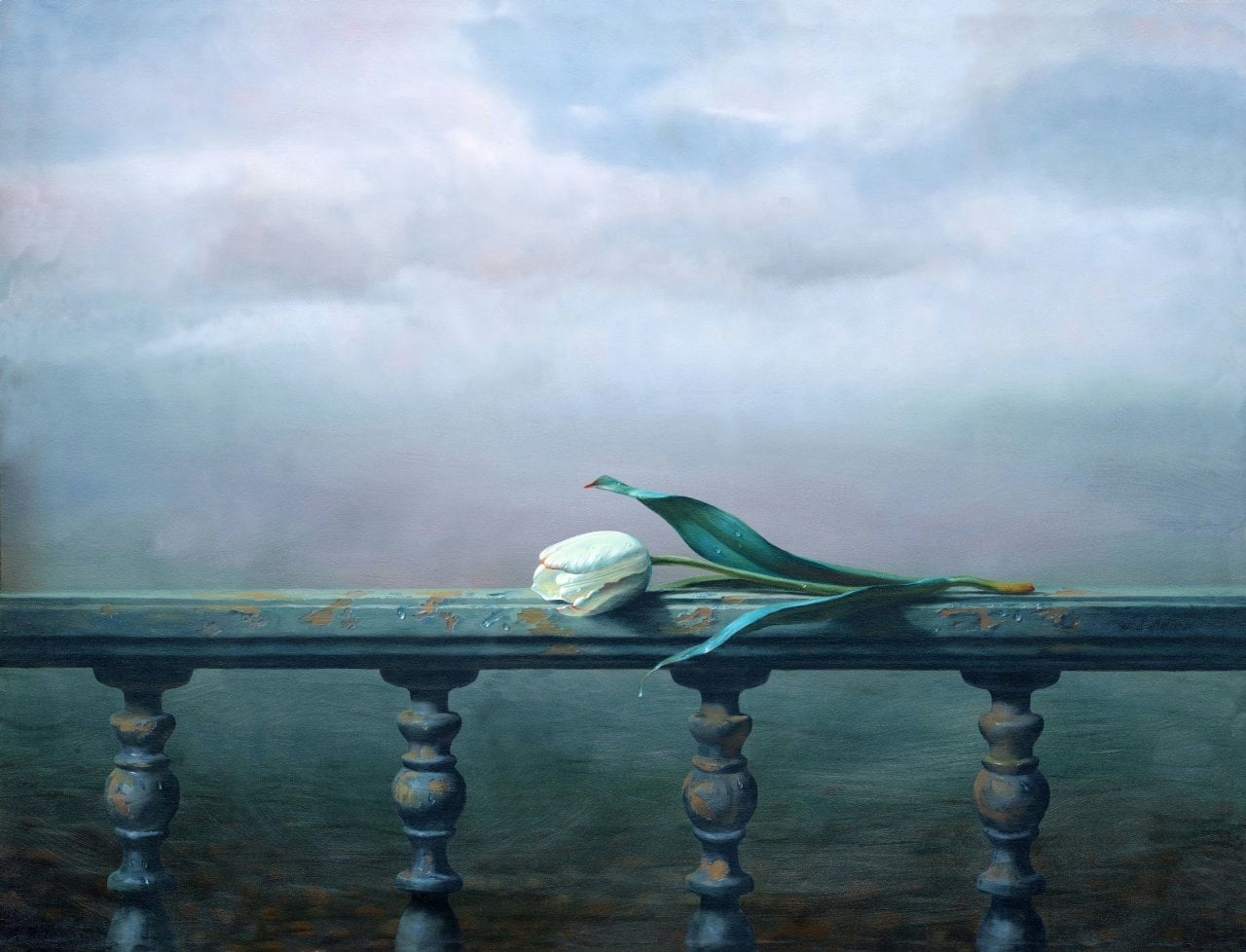 其他 - 无题 - 栏杆上独放的白色郁金香 