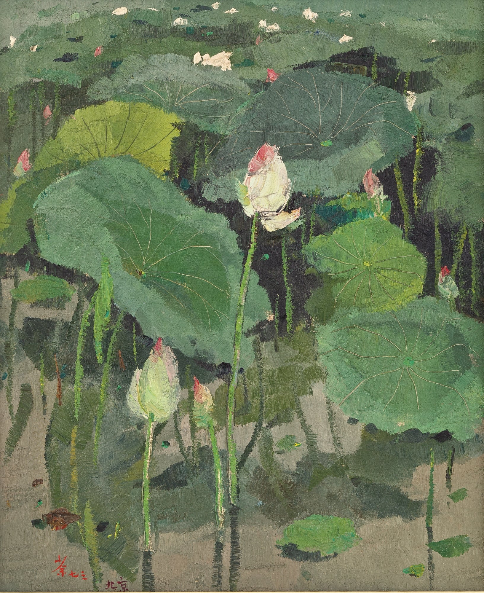 自然风景神韵主题 - 荷塘 - 展现荷塘间的自然之美 