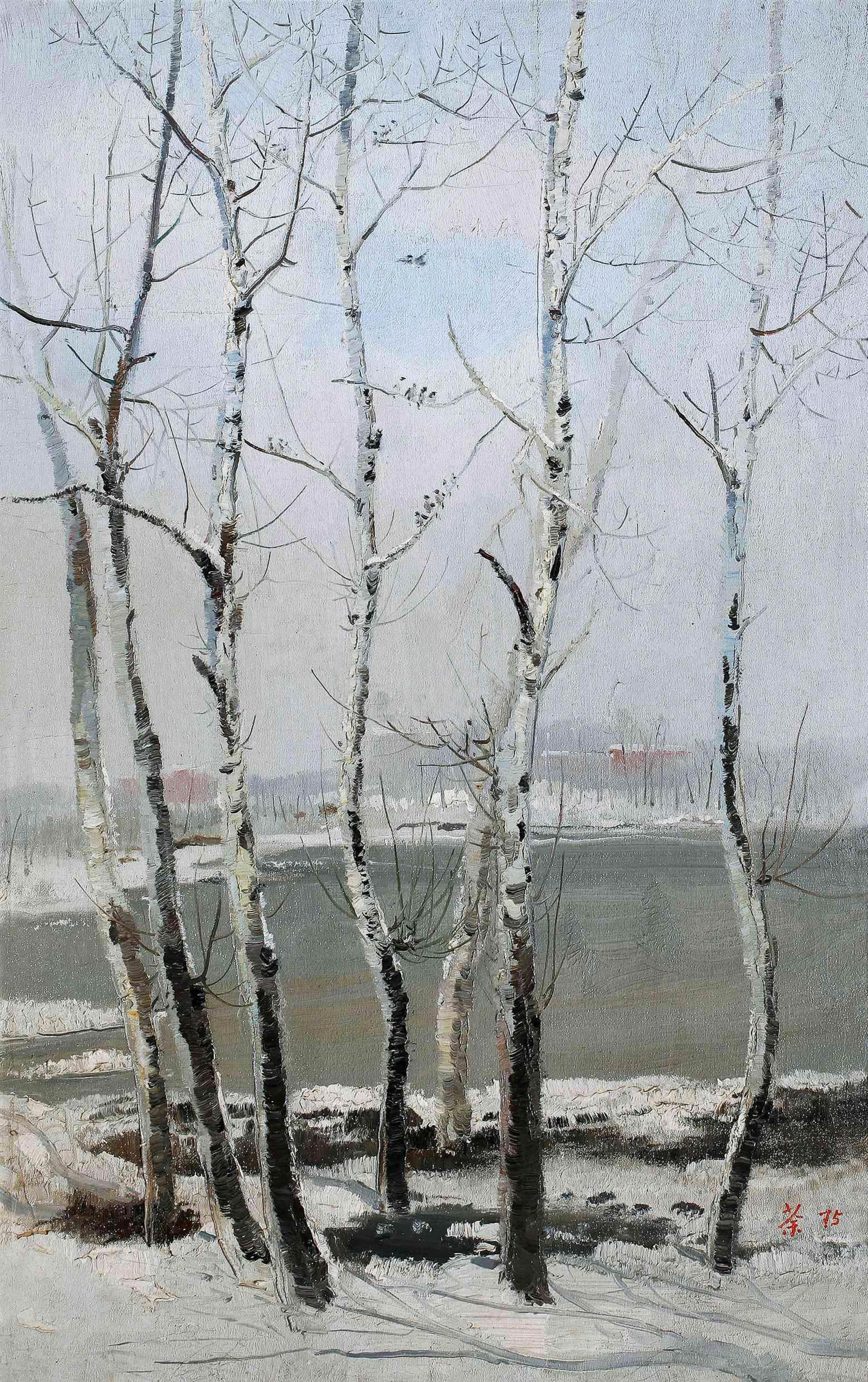 自然风景神韵主题 - 冬日桦林之景 - 展现冬日桦林自然景致 