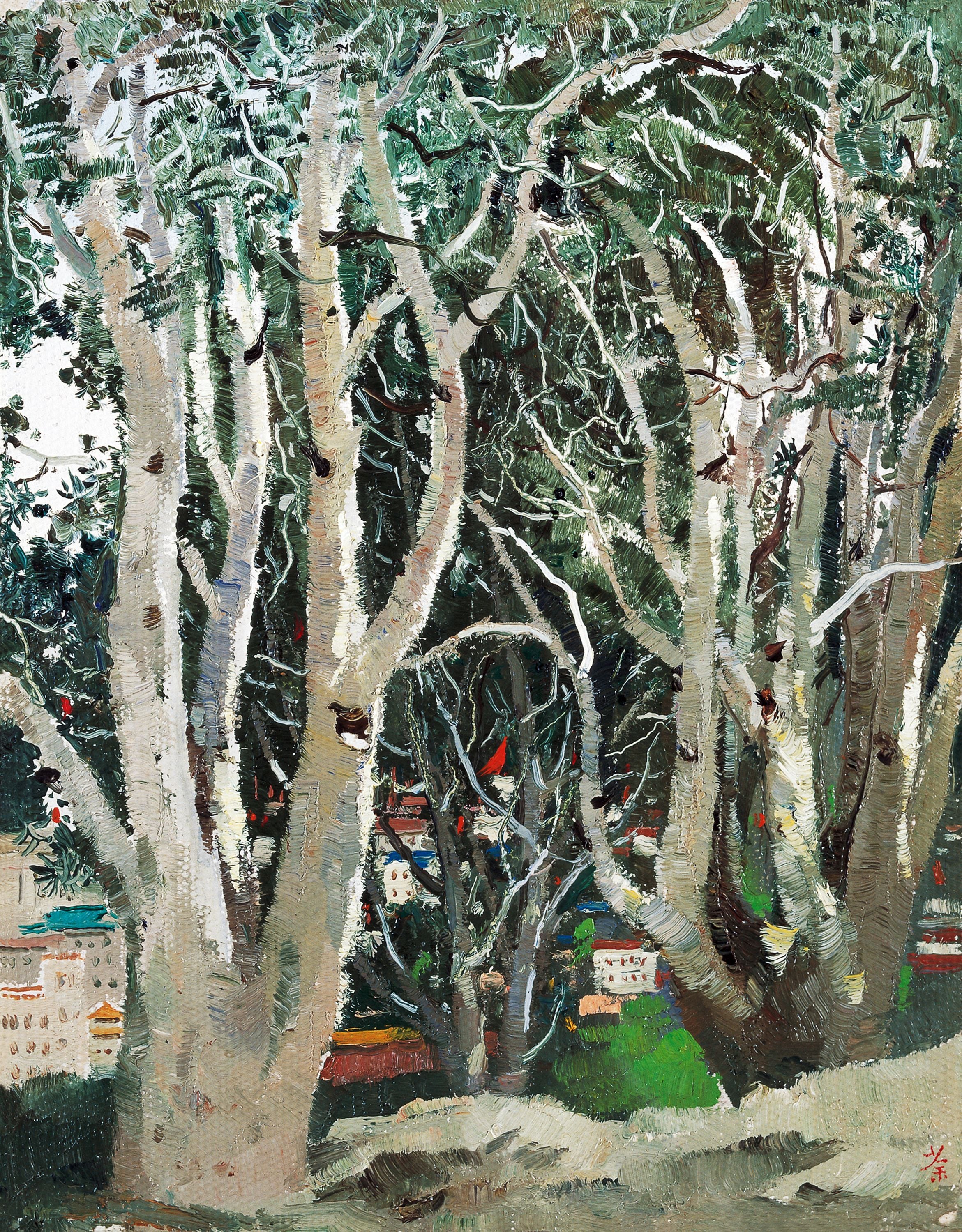 自然风景神韵主题 - 林间景致 - 展现林间树木自然之美 