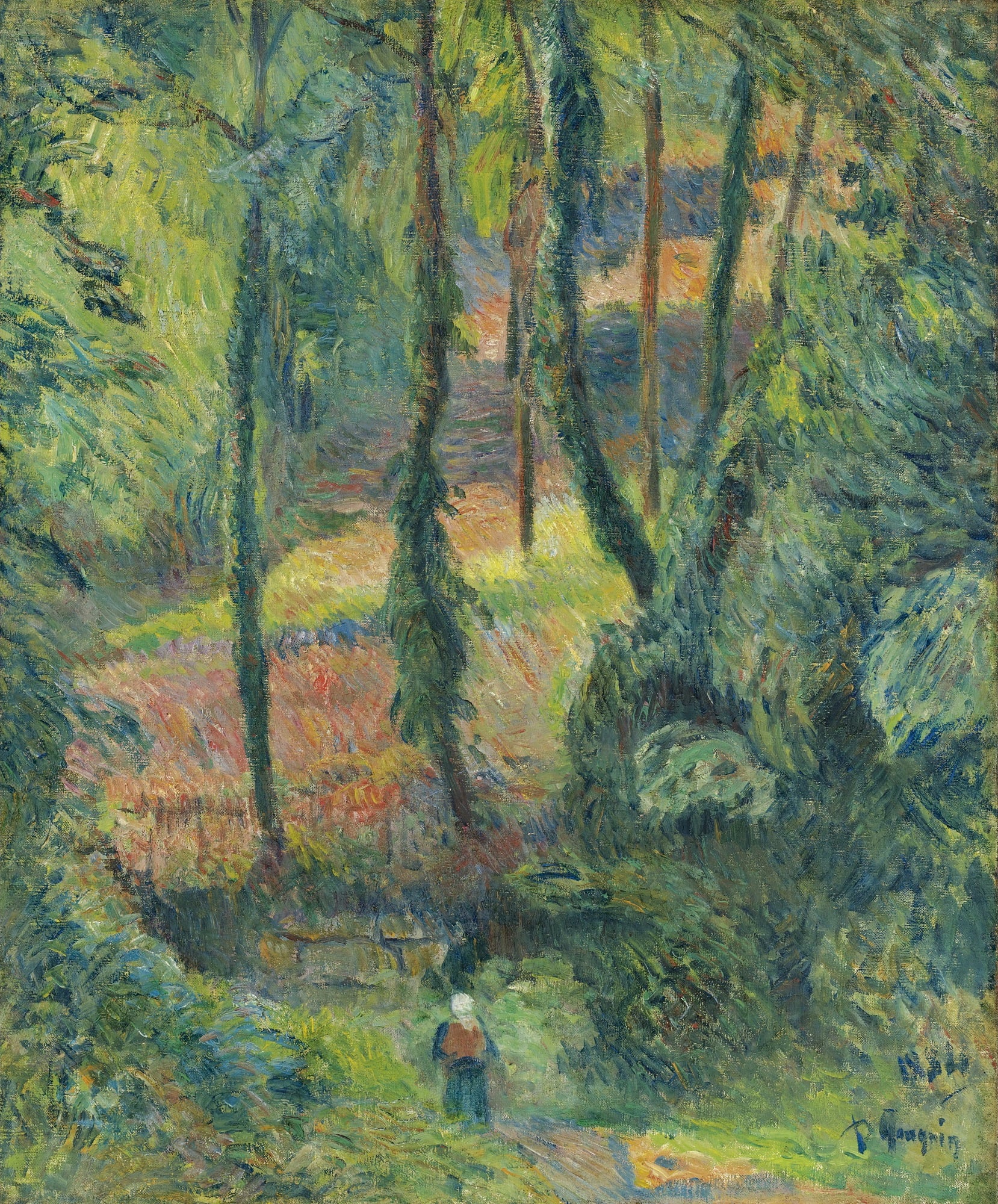 色彩原始浓烈主题 - 林间小道 - 色彩浓烈展现林间景致 