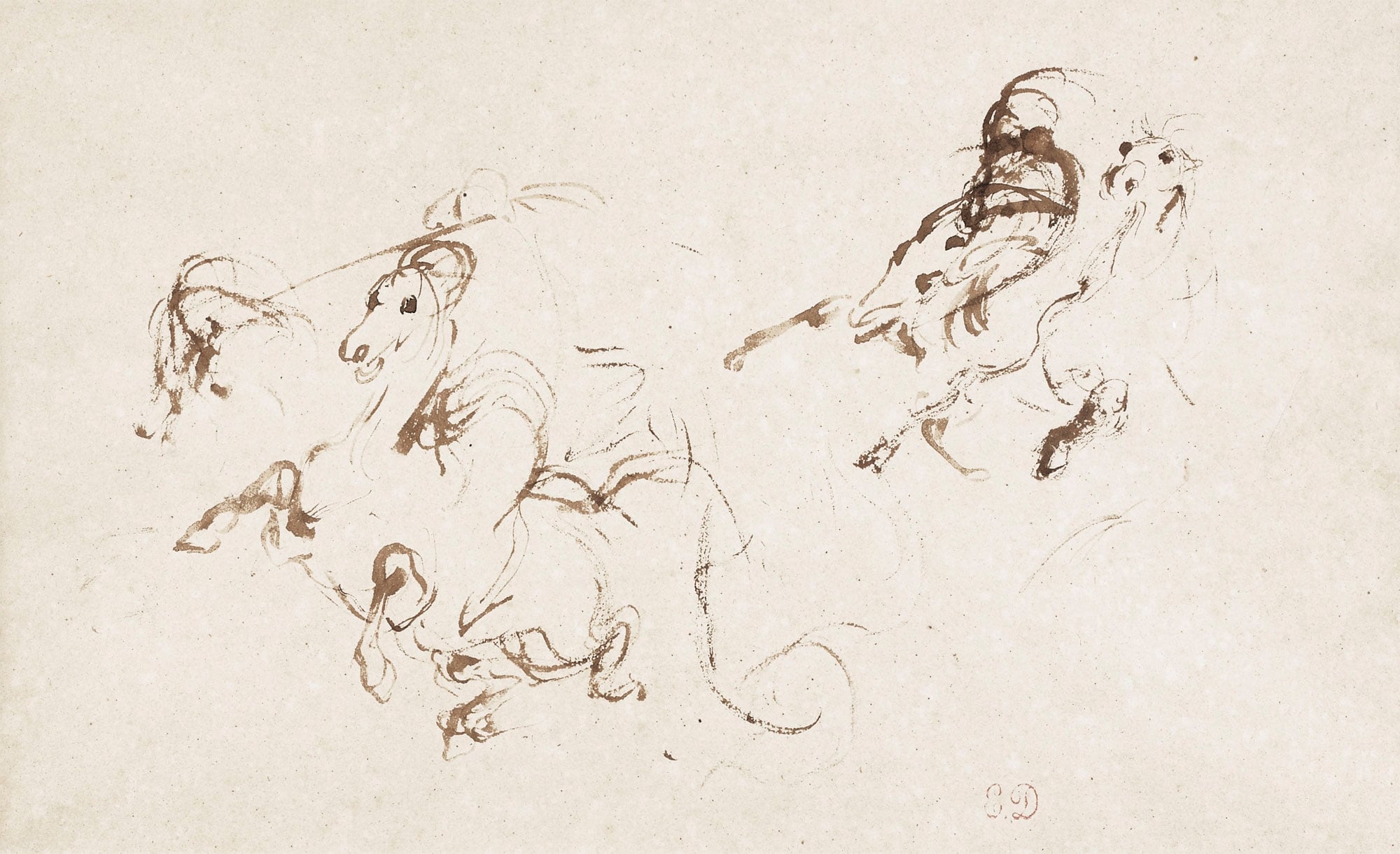 其他 - 奔马草图 - 简洁勾勒灵动的奔马 