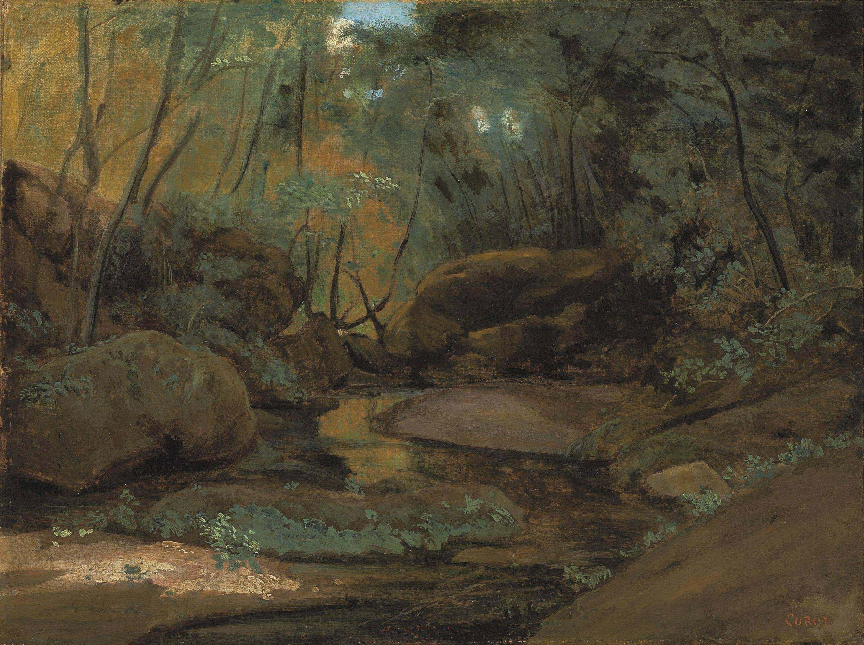 自然光影变化主题 - 林间溪流 - 光影交织展现林间幽景 