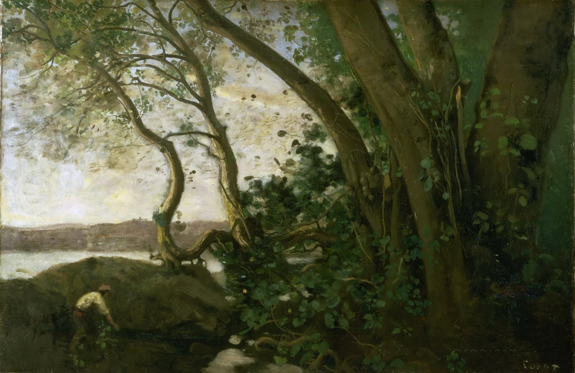 人物与自然融合主题 - 未命名 - 人于林间展现自然之美 