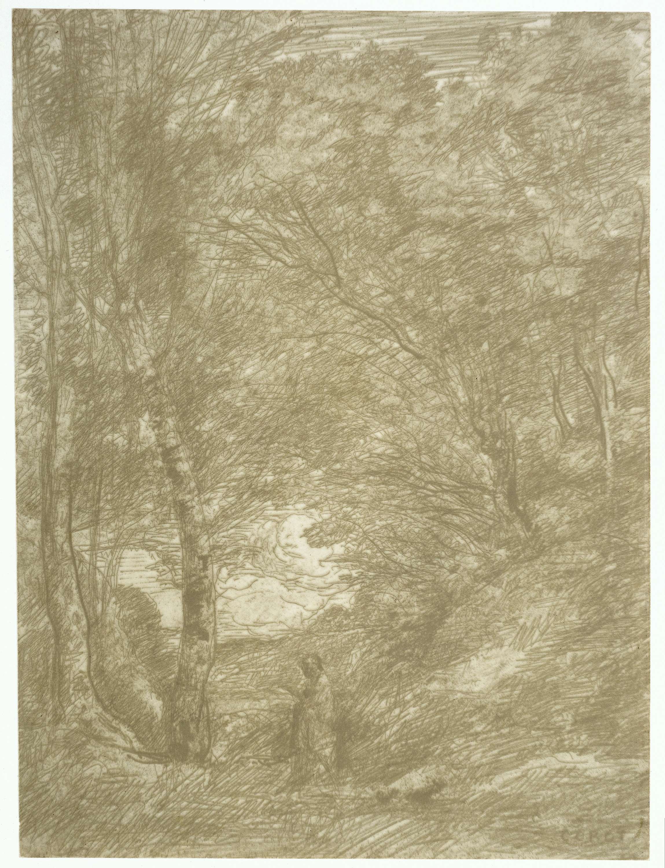 人物与自然融合主题 - 林间人物风景绘 - 人于林间尽显自然之美 